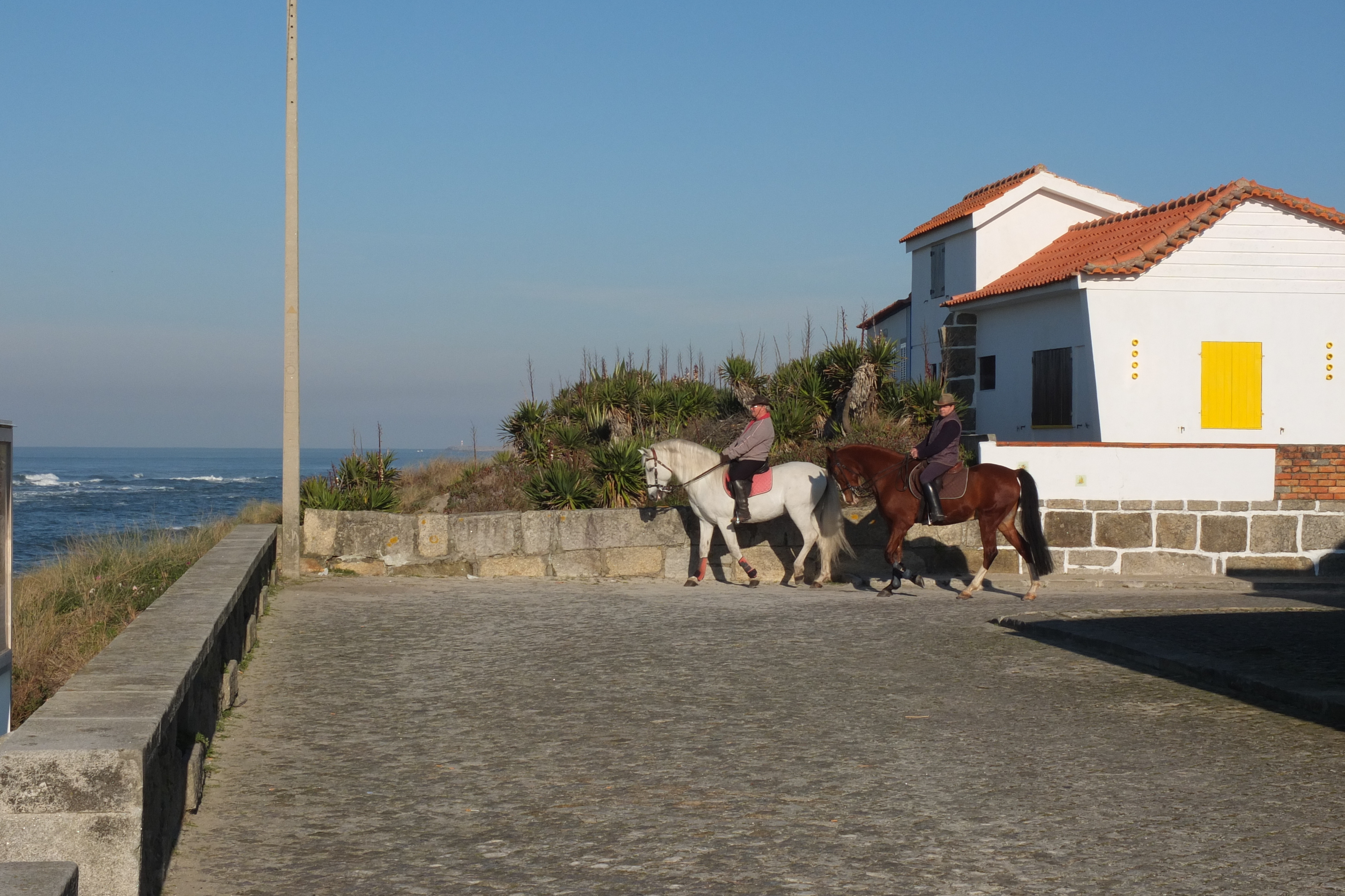 Picture Portugal Viana do Castello 2013-01 74 - Discovery Viana do Castello