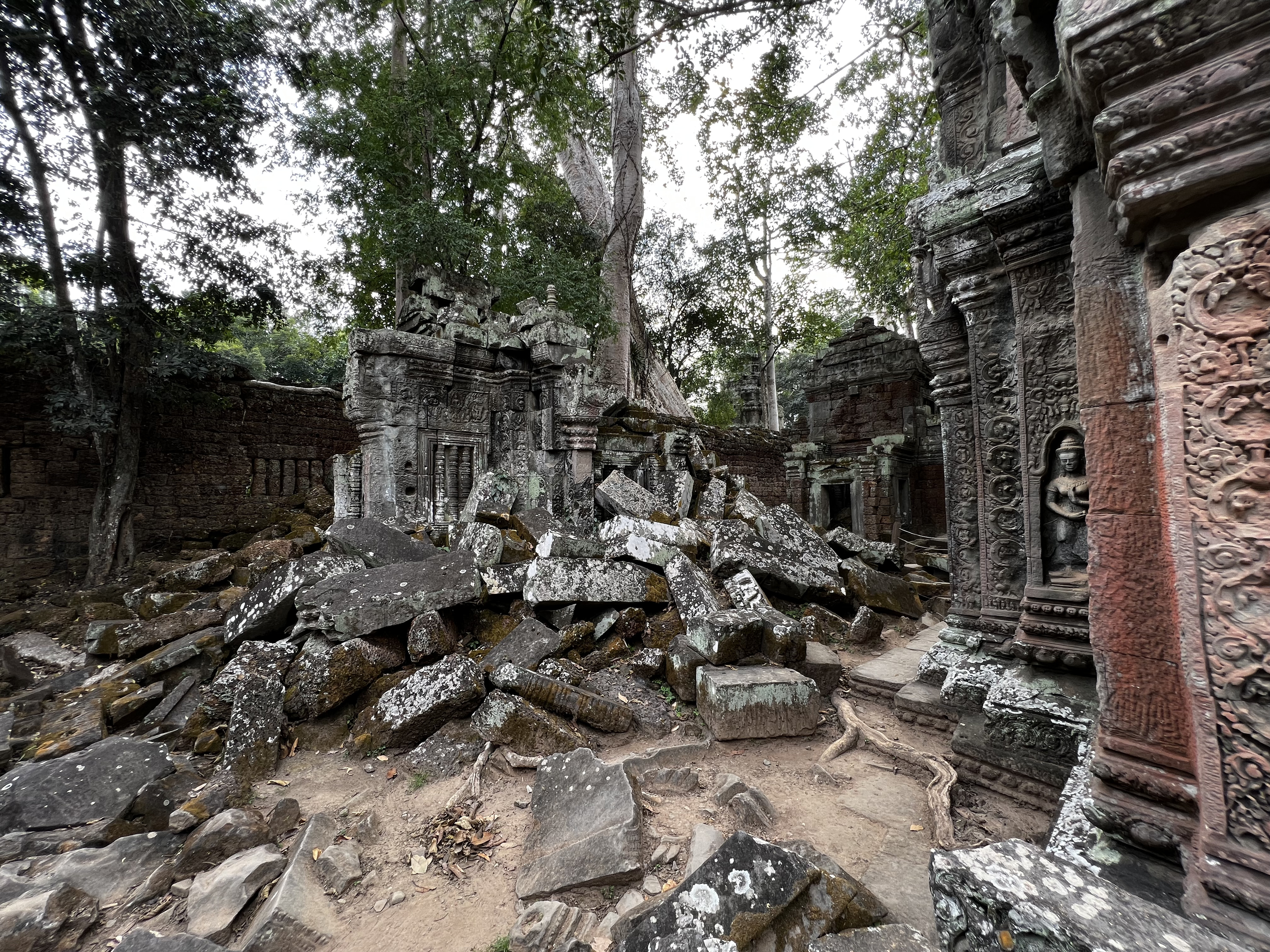 Picture Cambodia Siem Reap Ta Prohm 2023-01 110 - History Ta Prohm