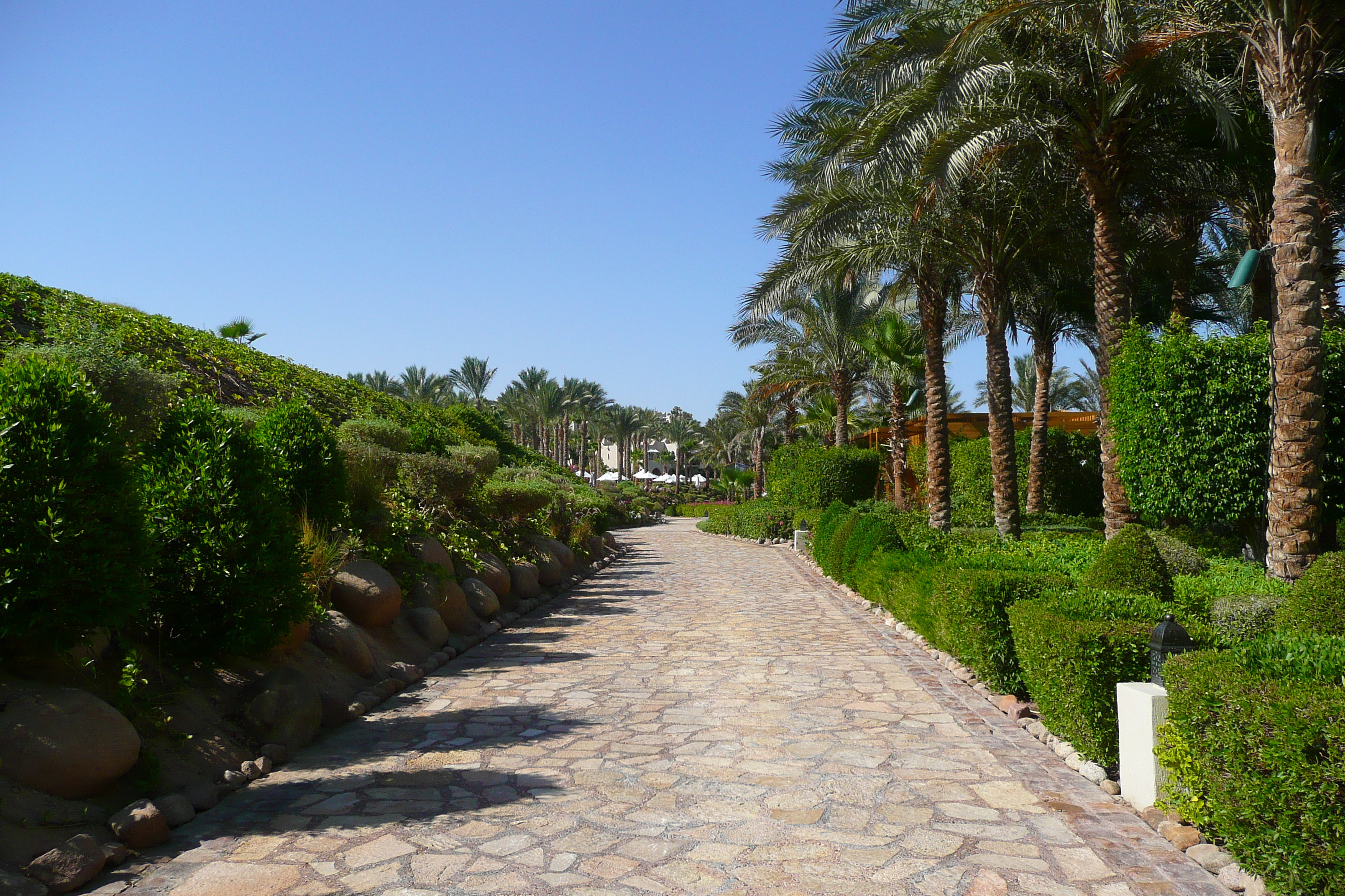 Picture Egypt Sharm el Sheikh Four Seasons Hotel Four Seasons Beach 2008-06 17 - Around Four Seasons Beach