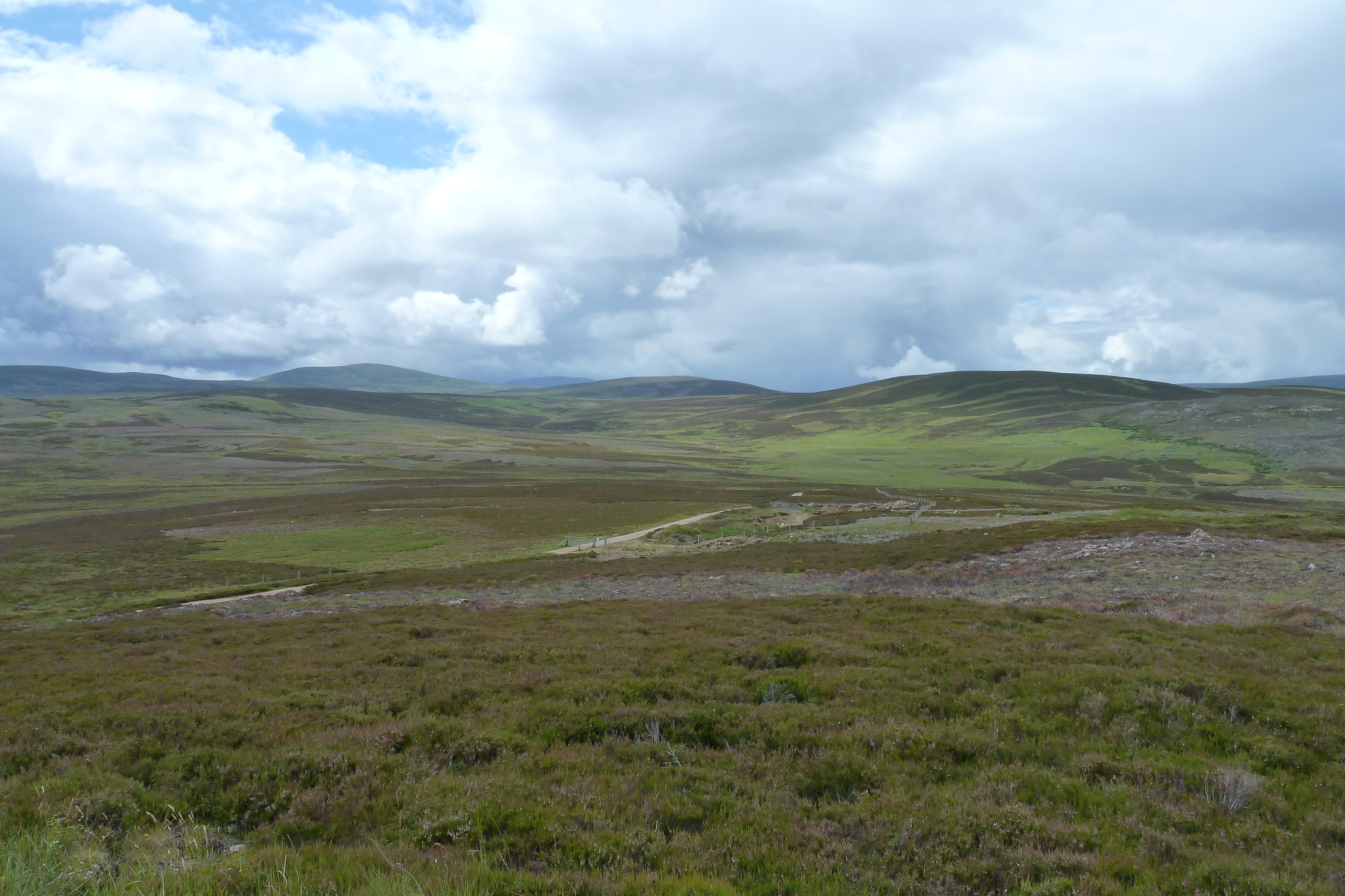 Picture United Kingdom Cairngorms National Park 2011-07 20 - Discovery Cairngorms National Park