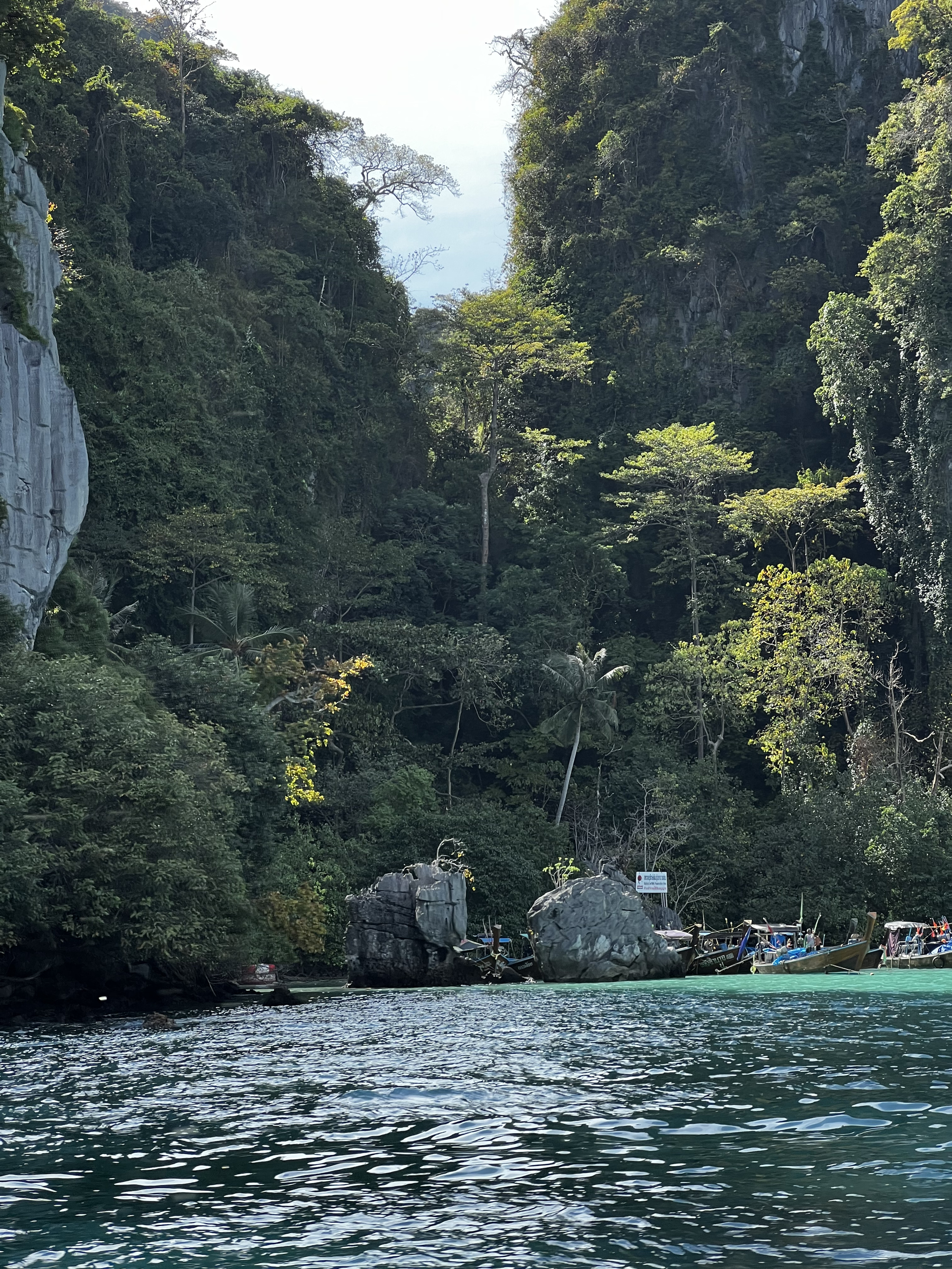 Picture Thailand Ko Phi Phi Ley 2021-12 80 - Around Ko Phi Phi Ley