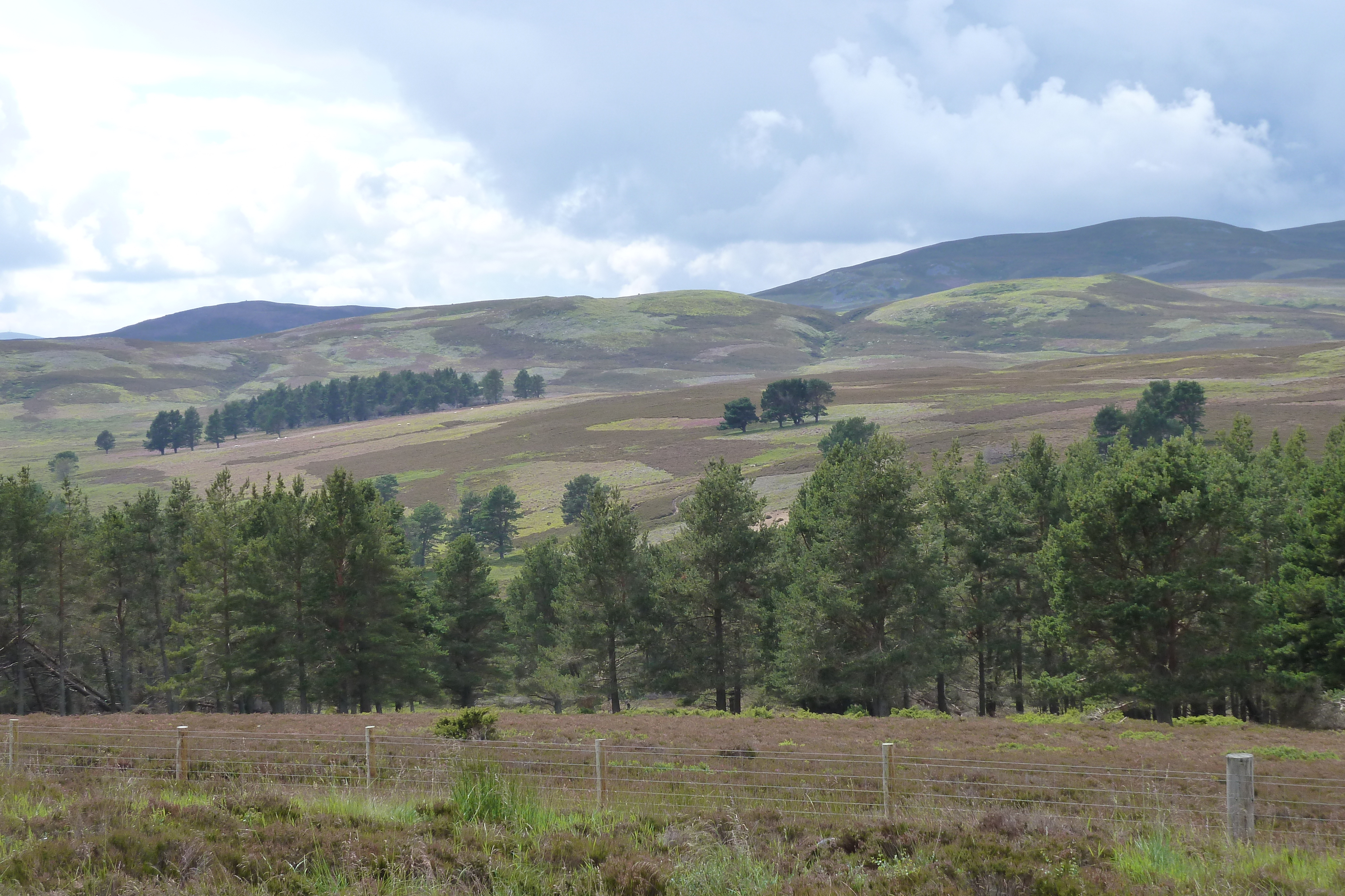 Picture United Kingdom Cairngorms National Park 2011-07 7 - Tour Cairngorms National Park