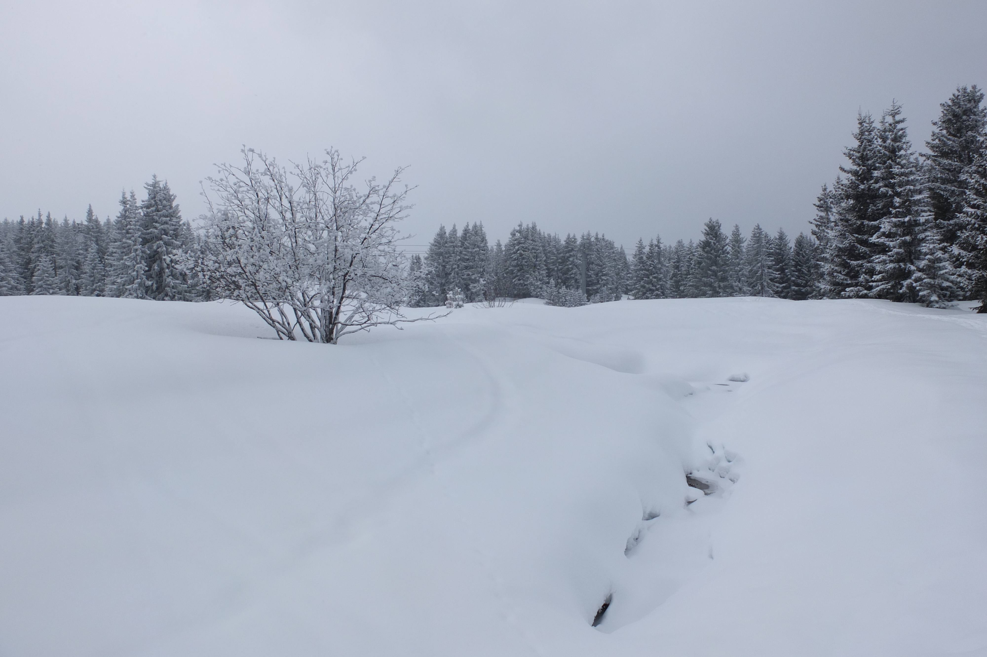 Picture France Les 3 Vallees 2013-03 400 - Journey Les 3 Vallees