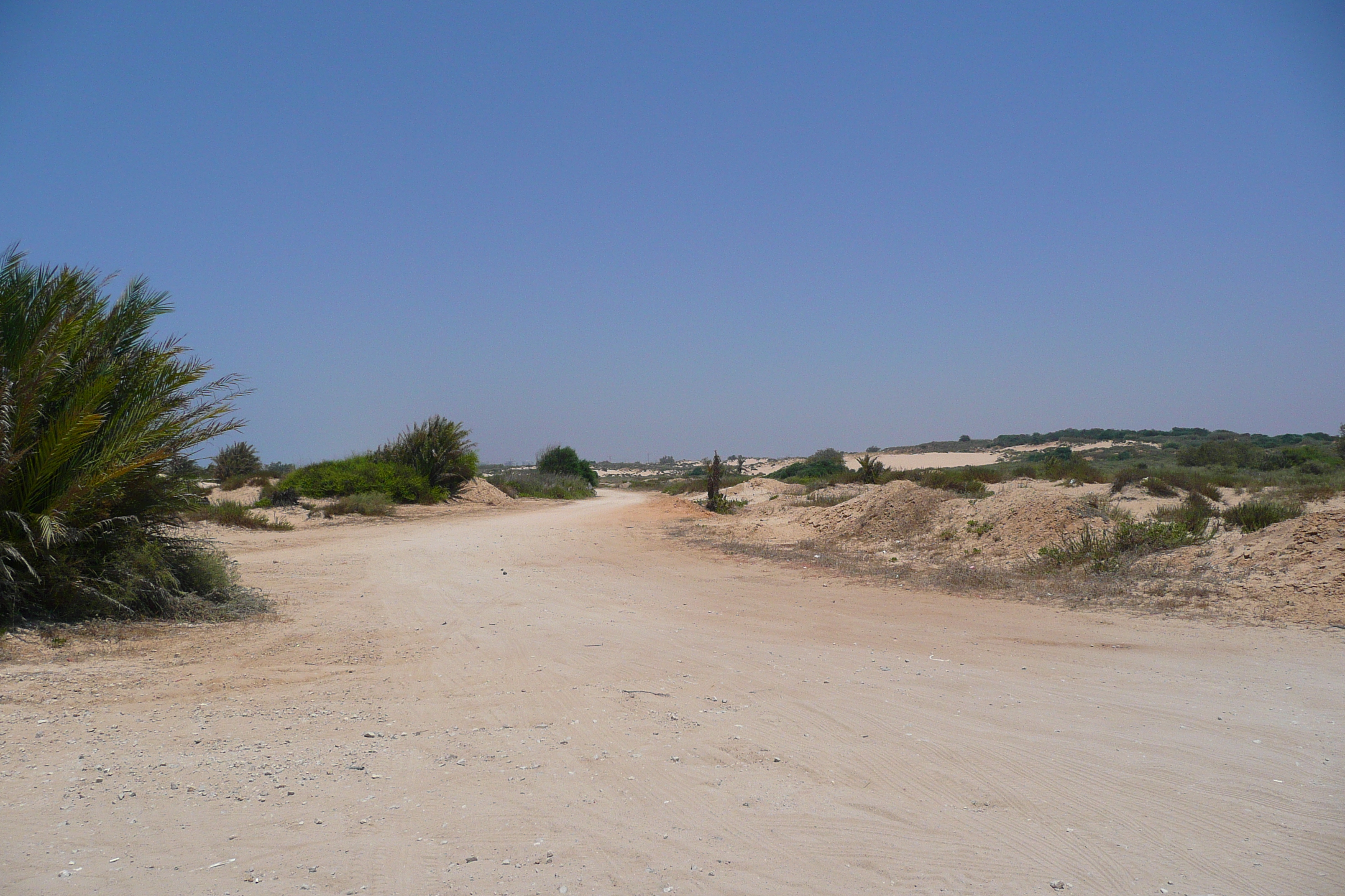 Picture Israel Nitzan 2007-06 85 - Tours Nitzan