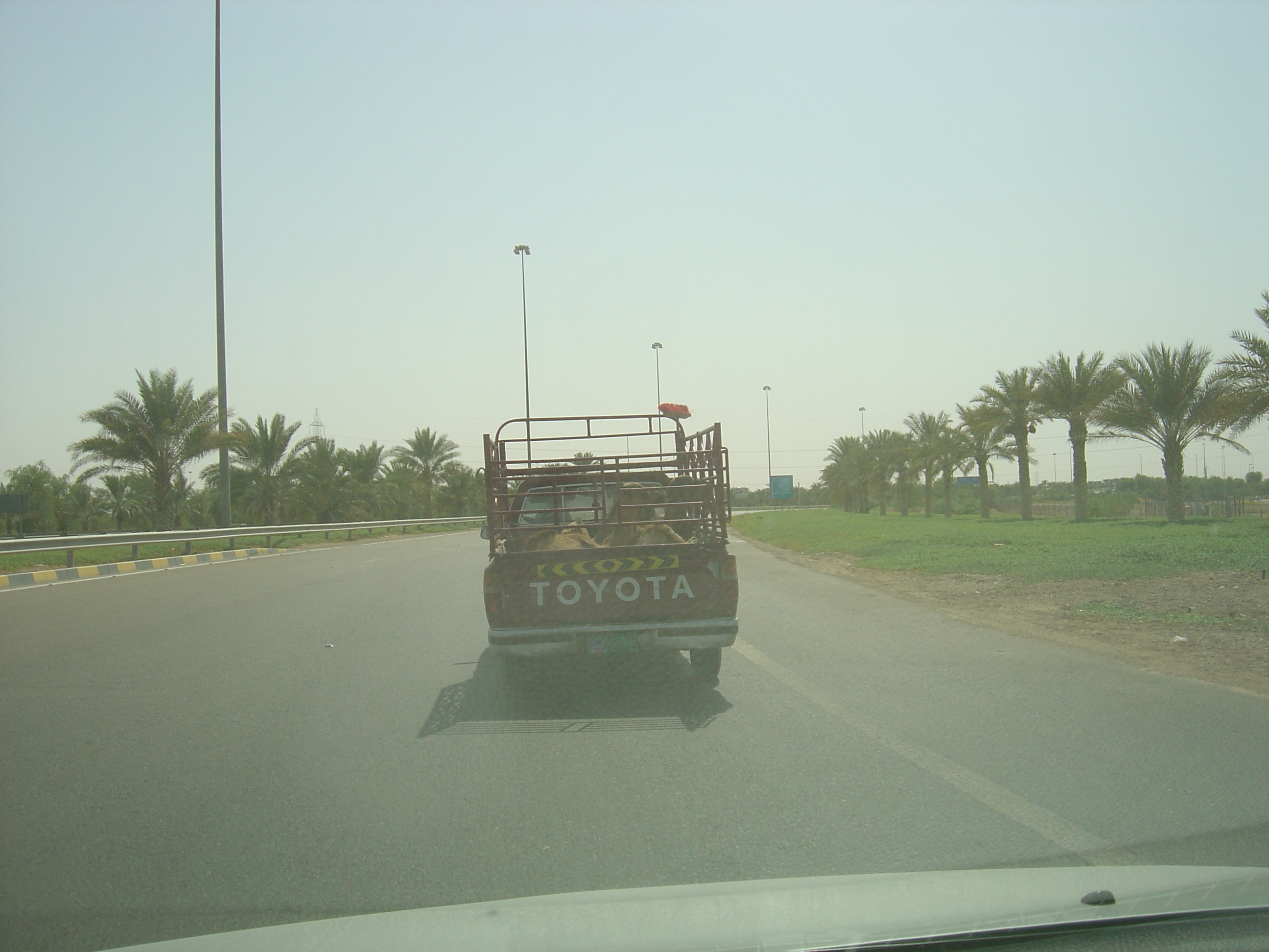 Picture United Arab Emirates Al Ain to Abu Dhabi Road 2005-09 3 - Journey Al Ain to Abu Dhabi Road