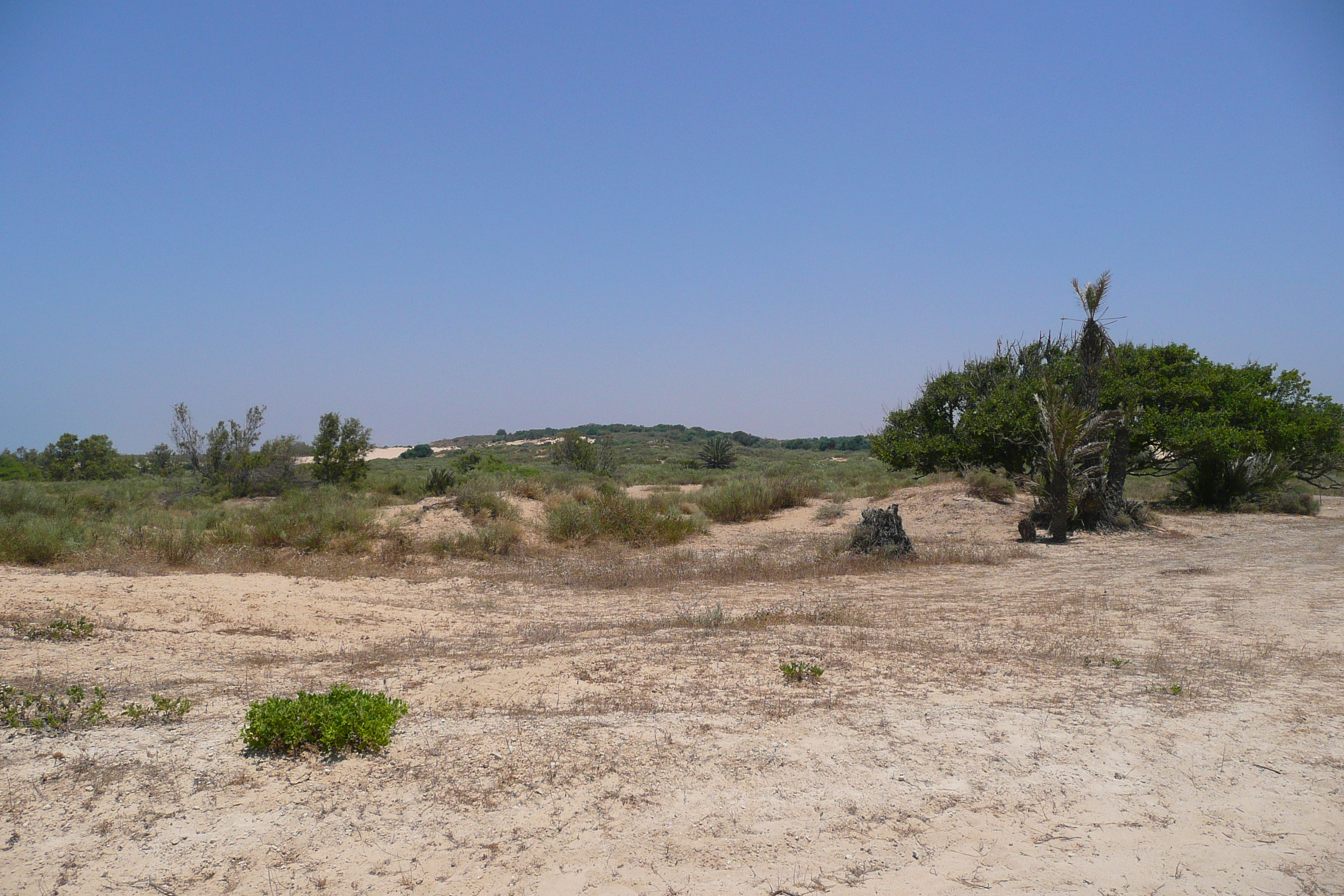 Picture Israel Nitzan 2007-06 71 - Discovery Nitzan