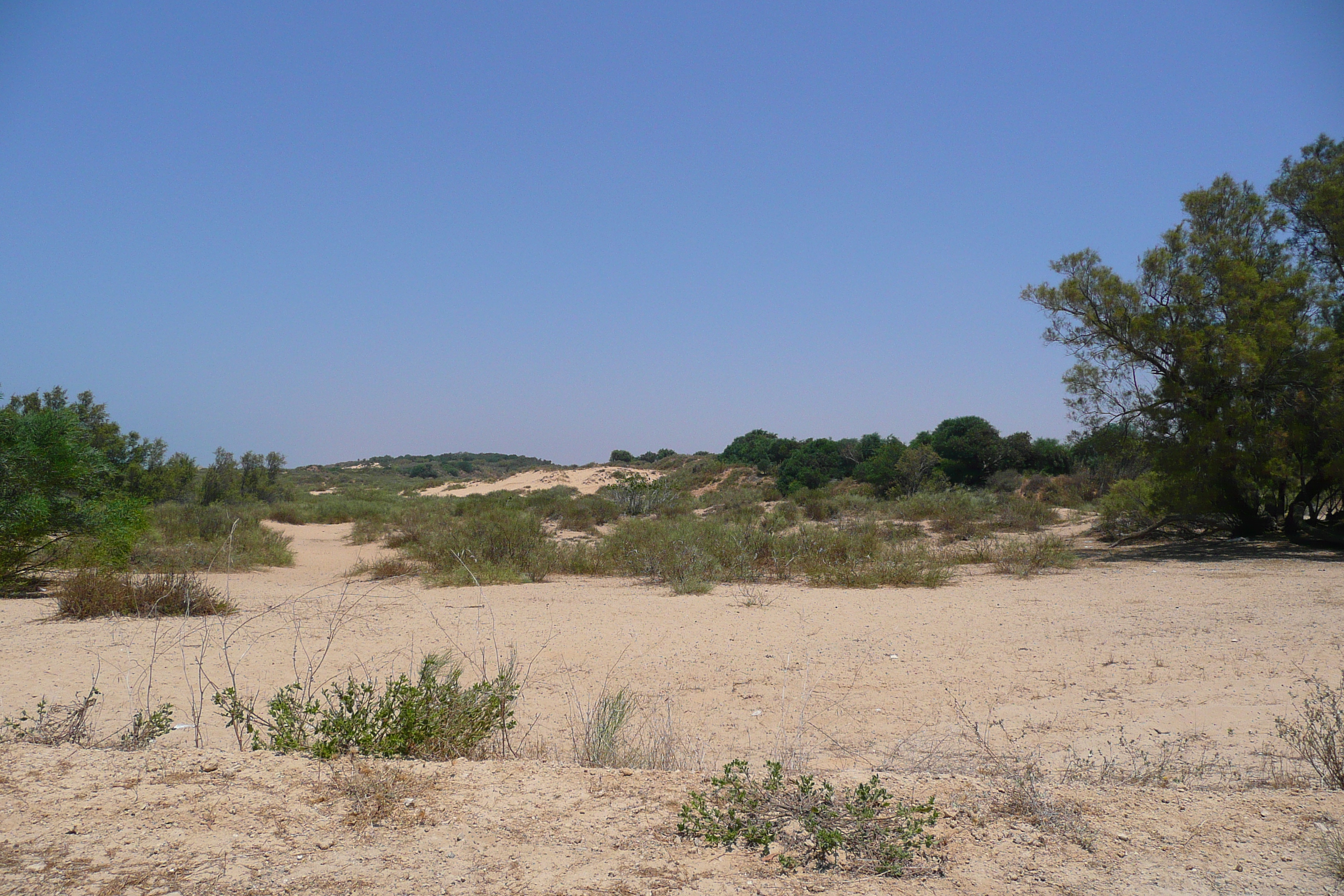 Picture Israel Nitzan 2007-06 92 - Journey Nitzan