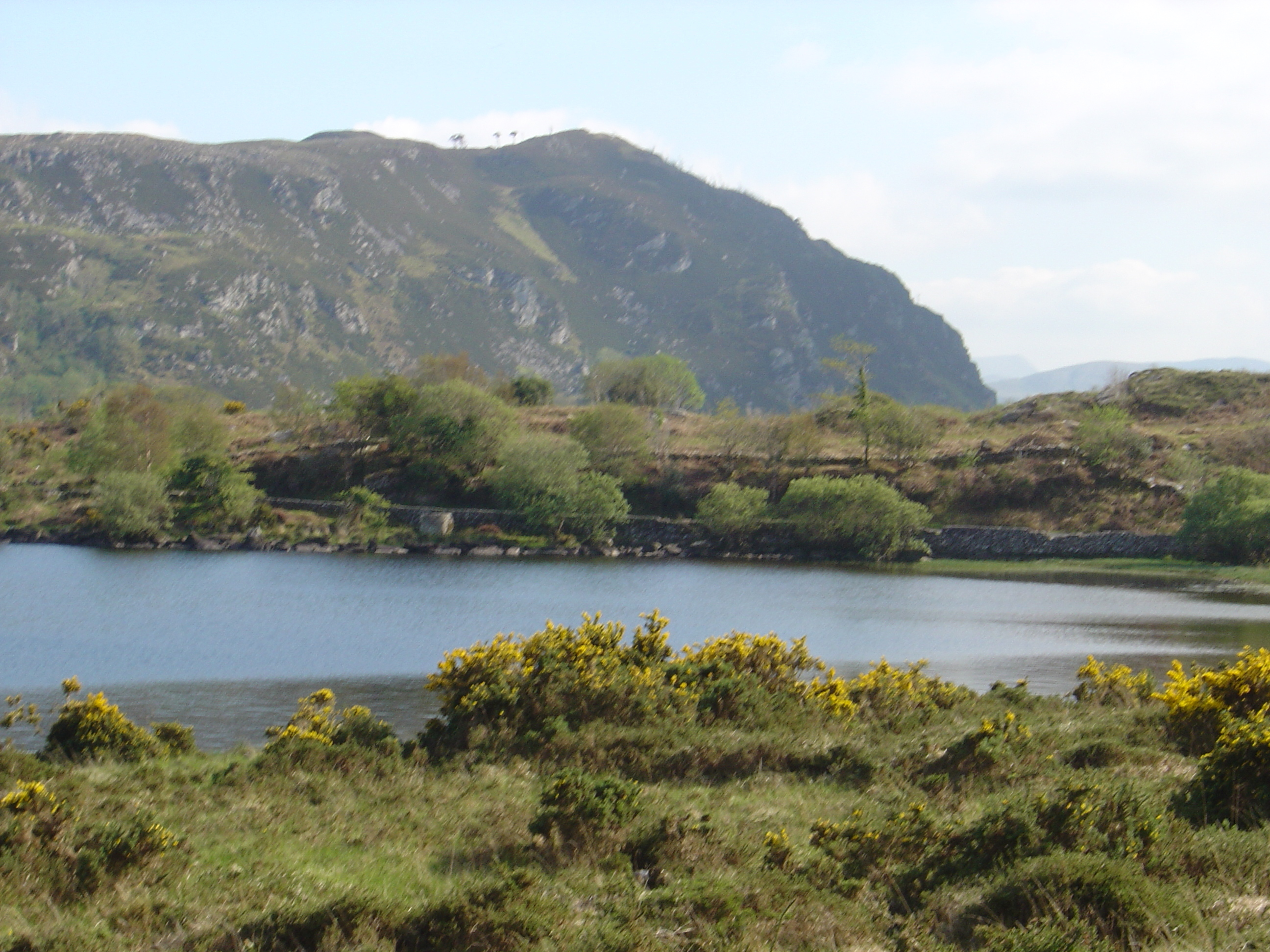 Picture Ireland Kerry Caragh Lake 2004-05 17 - Discovery Caragh Lake