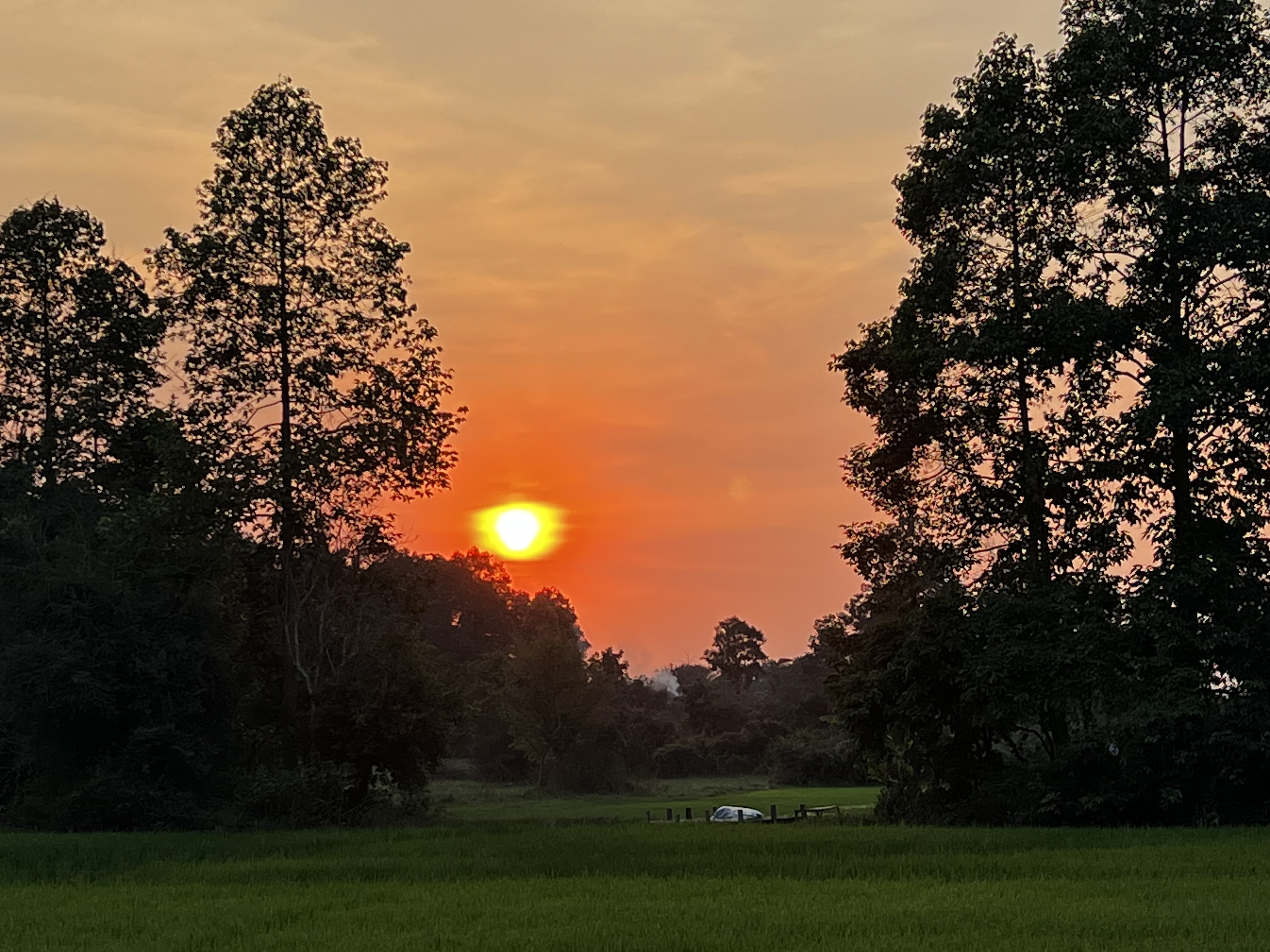 Picture Cambodia Siem Reap 2023-01 80 - Discovery Siem Reap