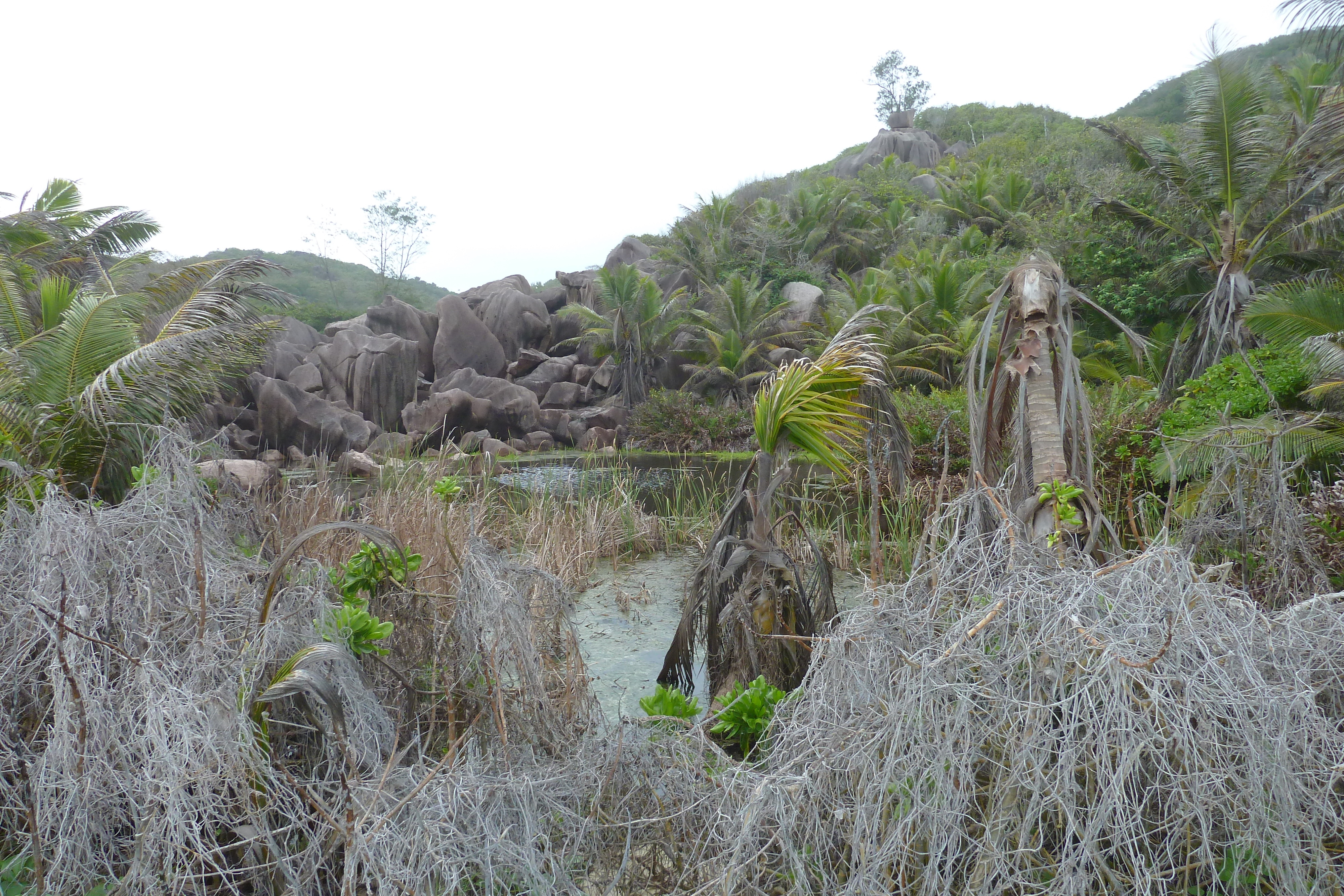 Picture Seychelles La Digue 2011-10 198 - Around La Digue