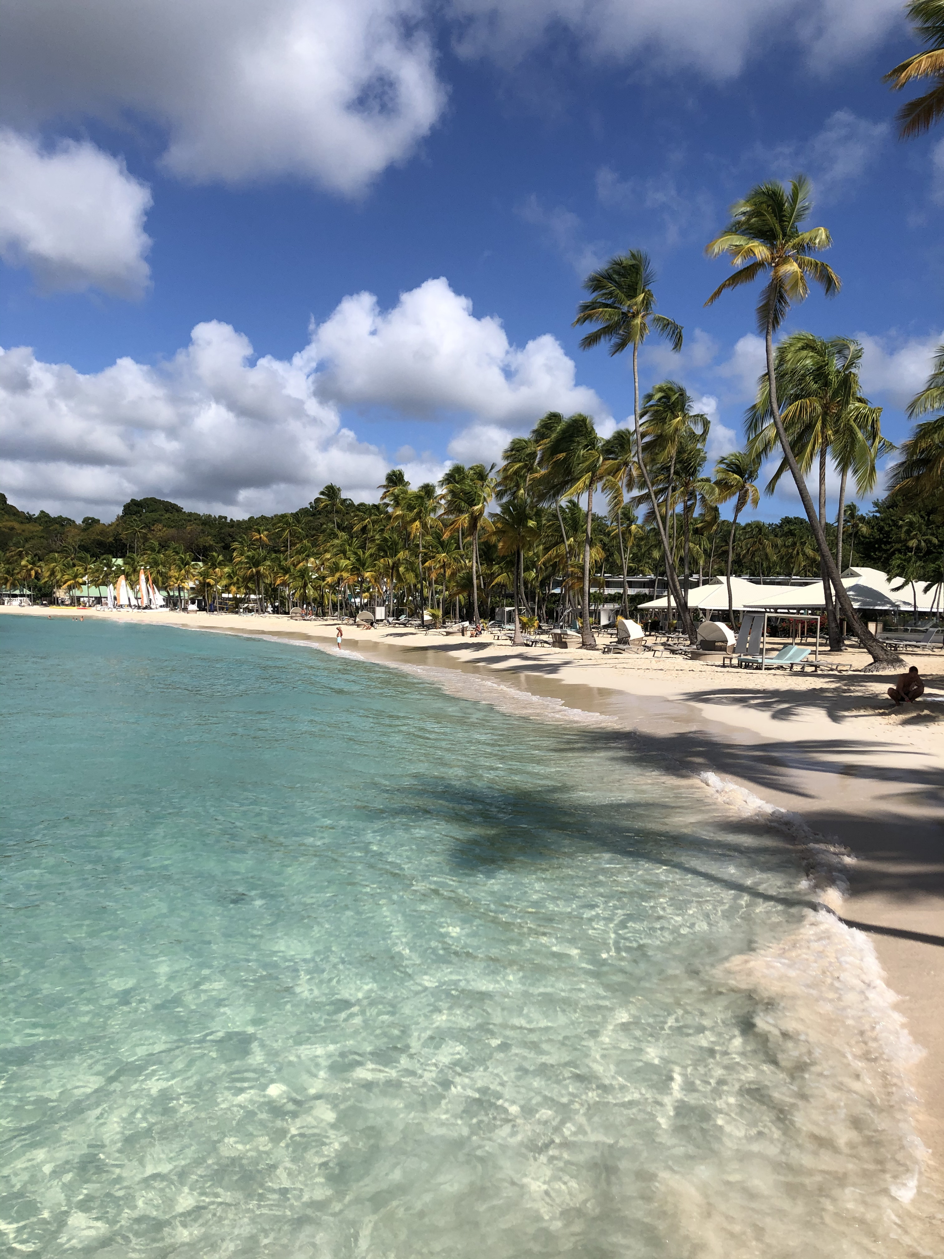 Picture Guadeloupe La Caravelle Beach 2021-02 156 - Journey La Caravelle Beach