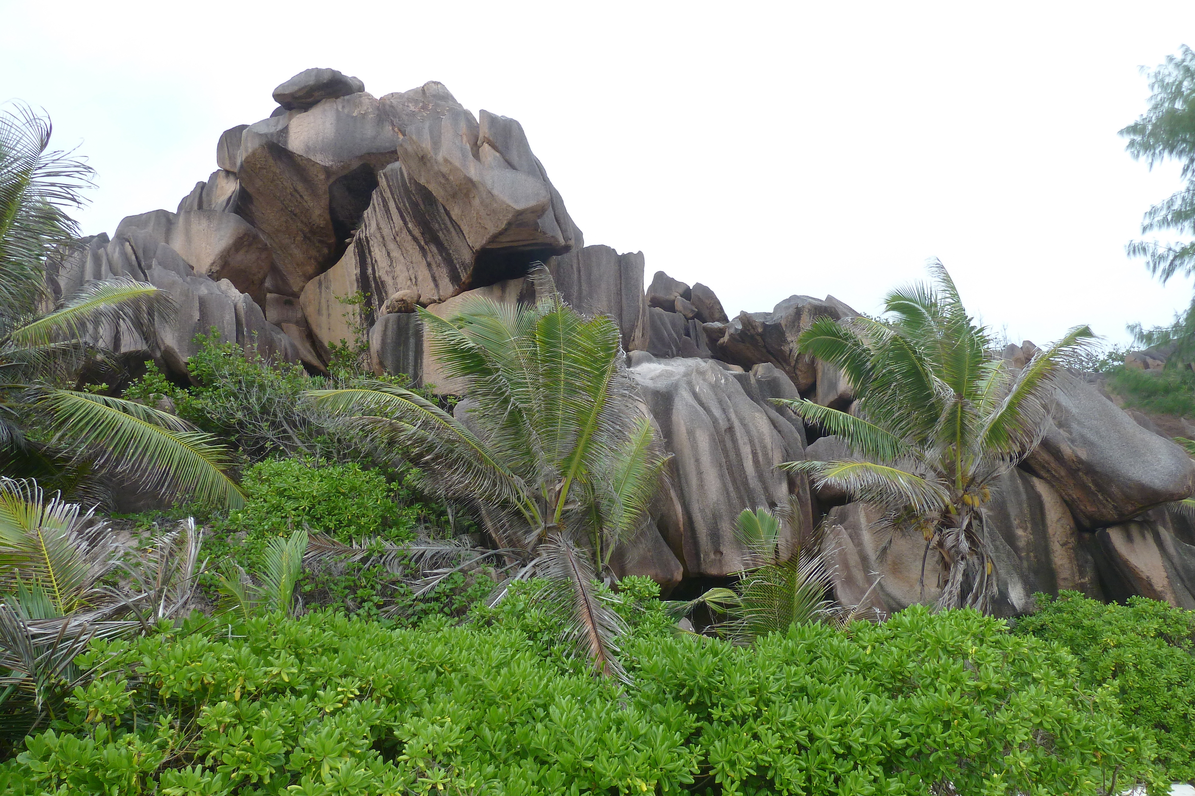 Picture Seychelles La Digue 2011-10 187 - Journey La Digue