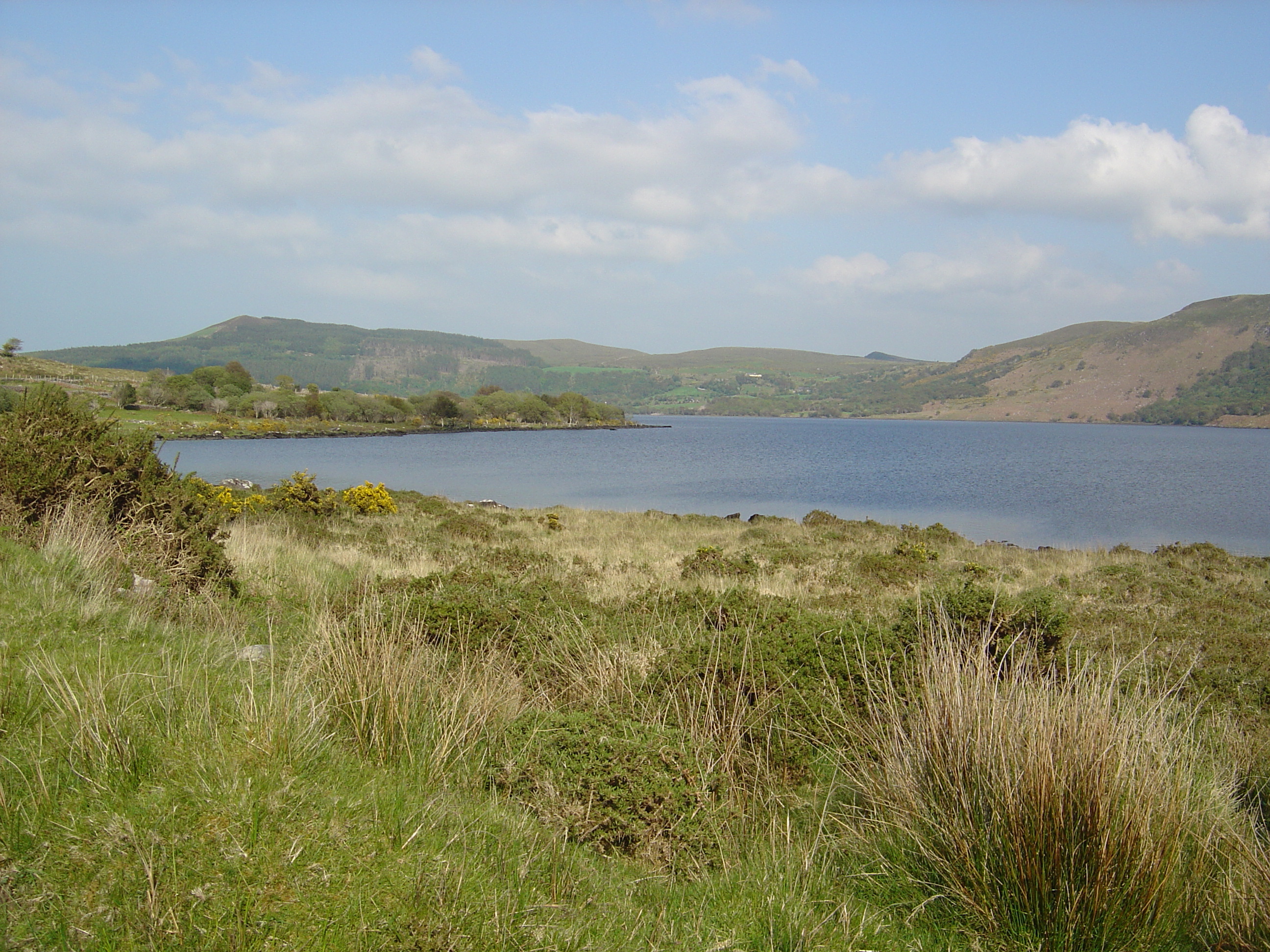 Picture Ireland Kerry Caragh Lake 2004-05 34 - Recreation Caragh Lake