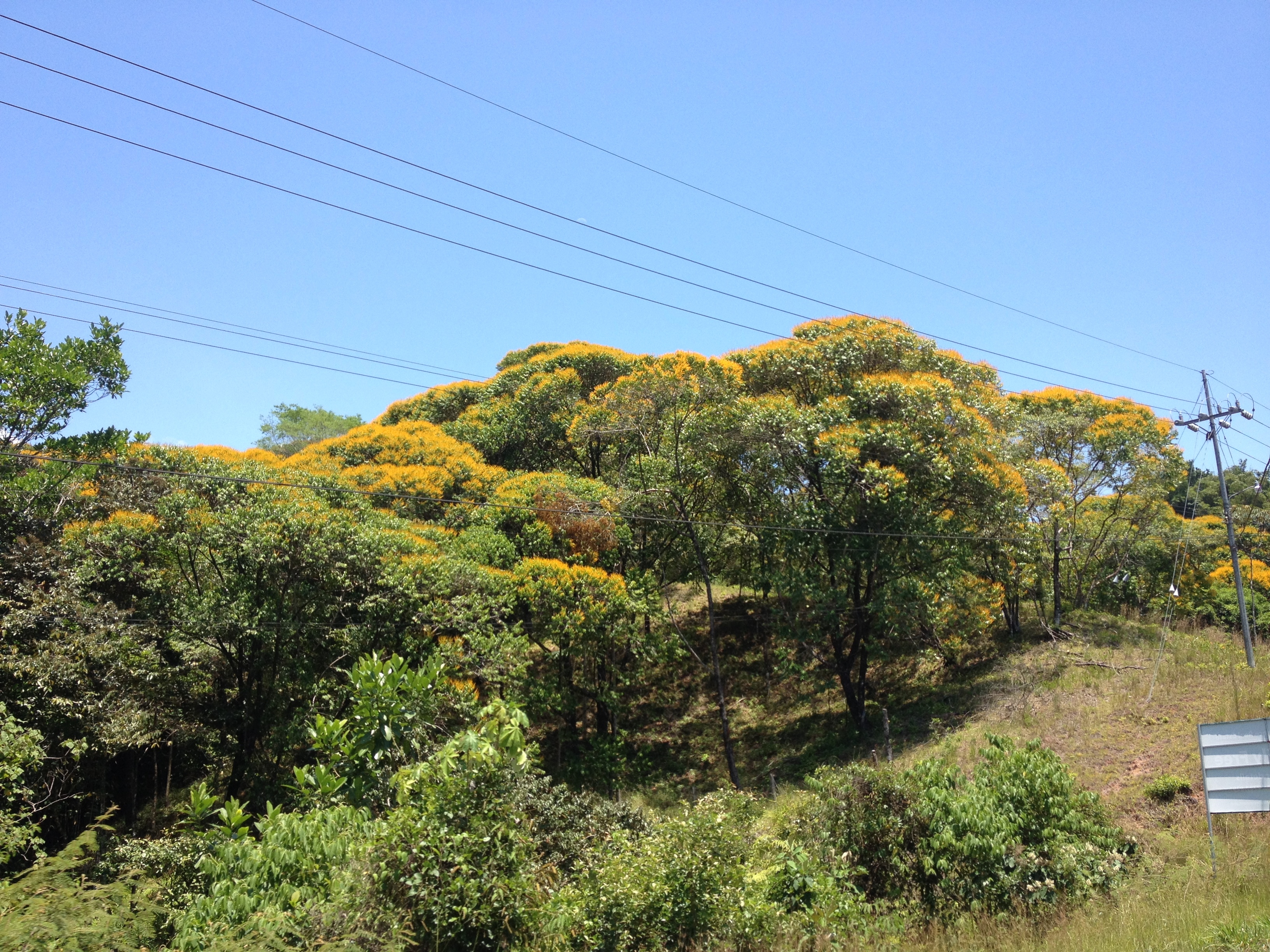 Picture Costa Rica Pacific Border 2015-03 0 - Journey Pacific Border