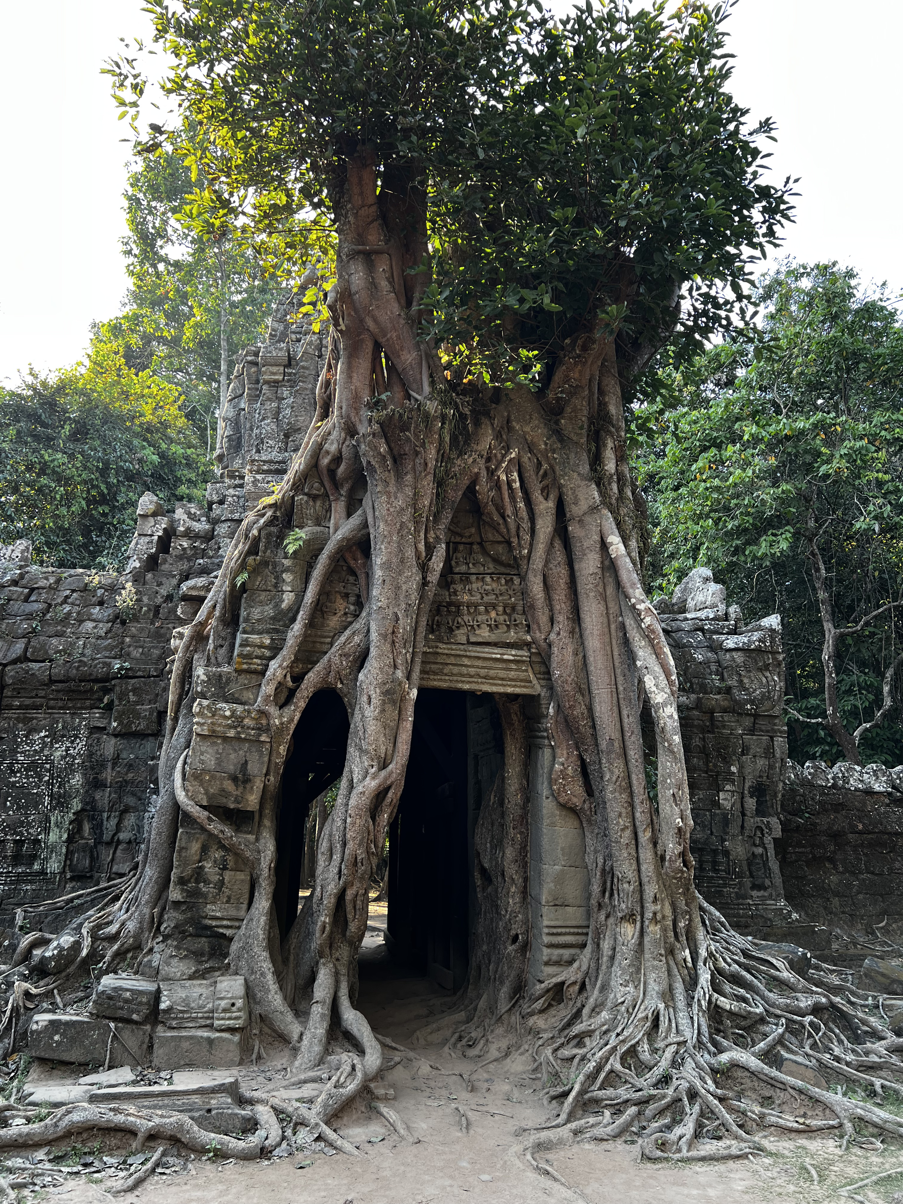 Picture Cambodia Siem Reap Ta Som 2023-01 36 - Discovery Ta Som