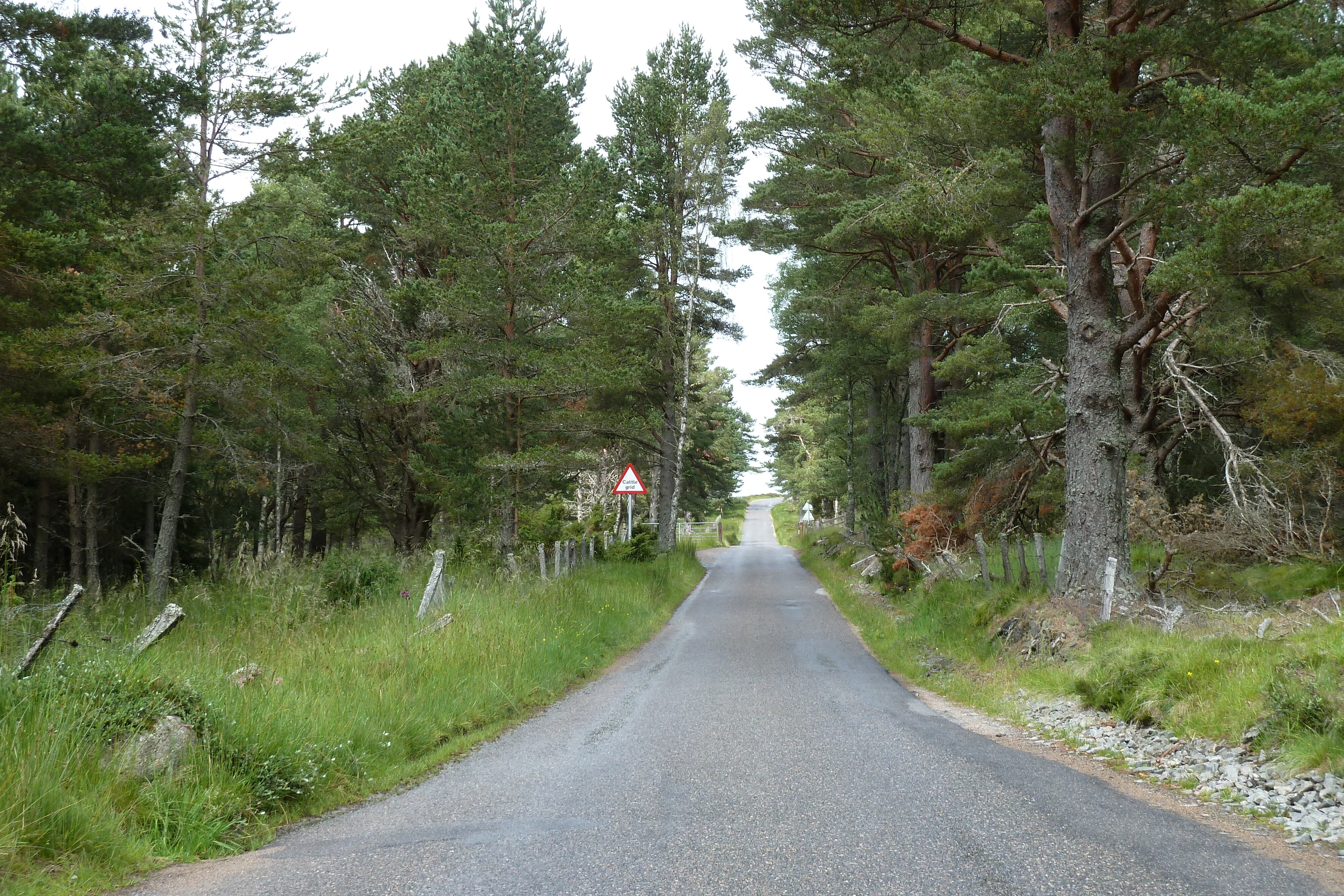 Picture United Kingdom Cairngorms National Park 2011-07 33 - Around Cairngorms National Park