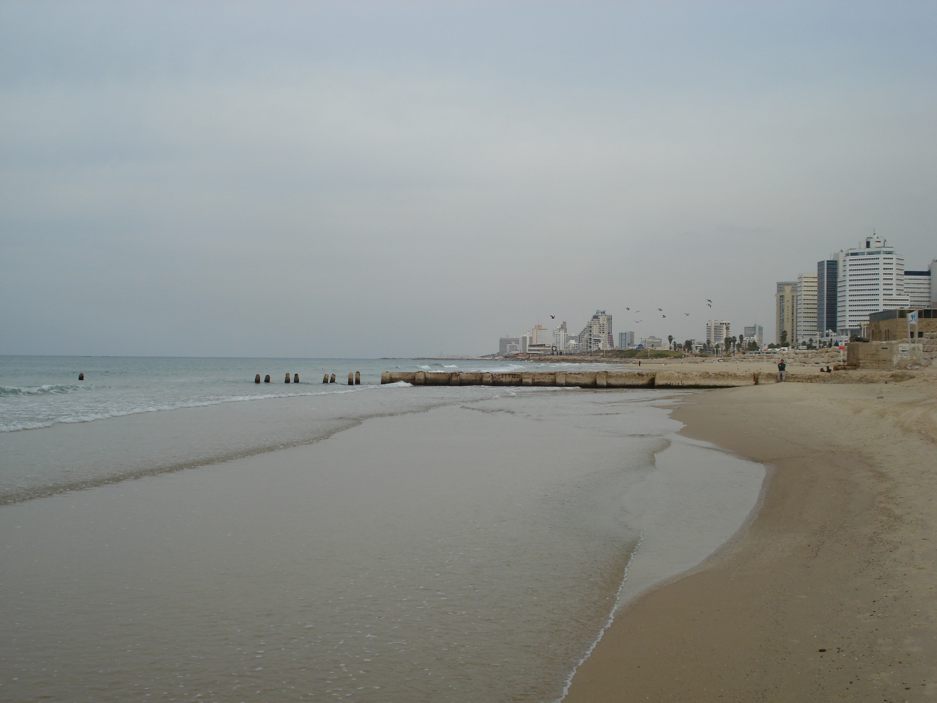 Picture Israel Tel Aviv Tel Aviv Sea Shore 2006-12 298 - History Tel Aviv Sea Shore