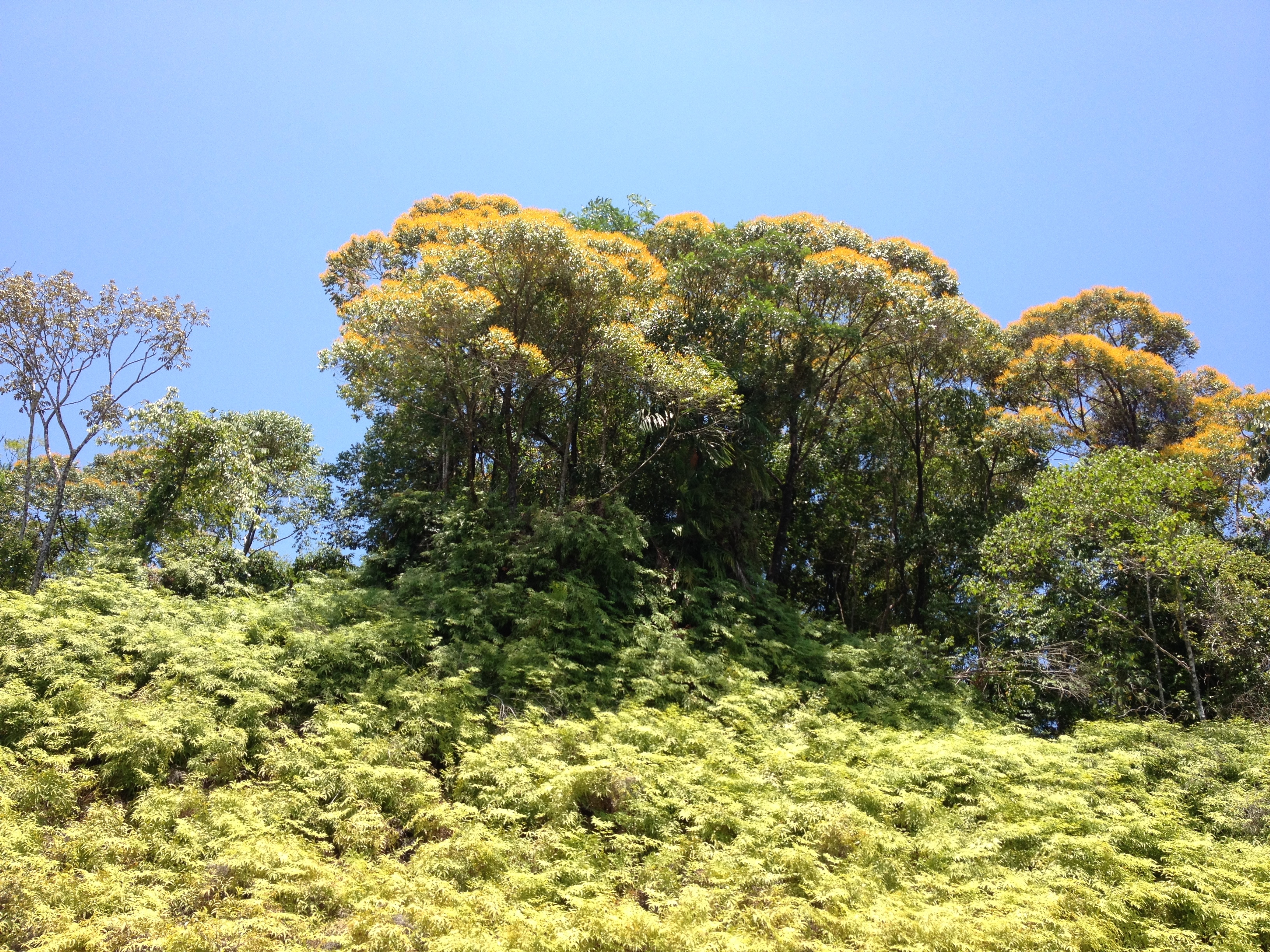 Picture Costa Rica Pacific Border 2015-03 5 - Center Pacific Border