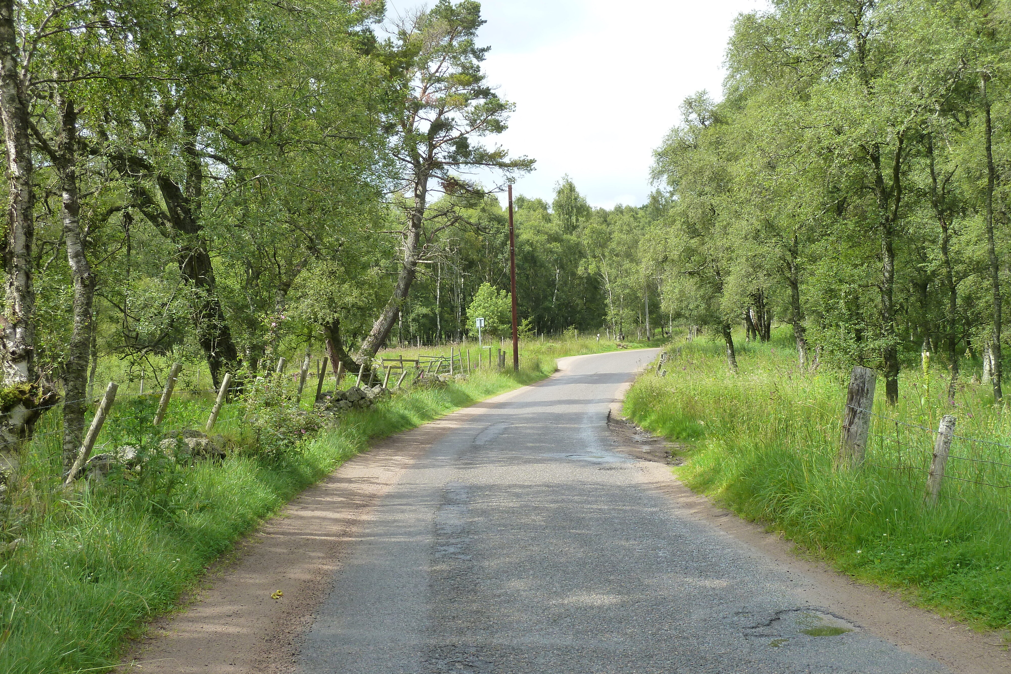 Picture United Kingdom Cairngorms National Park 2011-07 128 - Around Cairngorms National Park