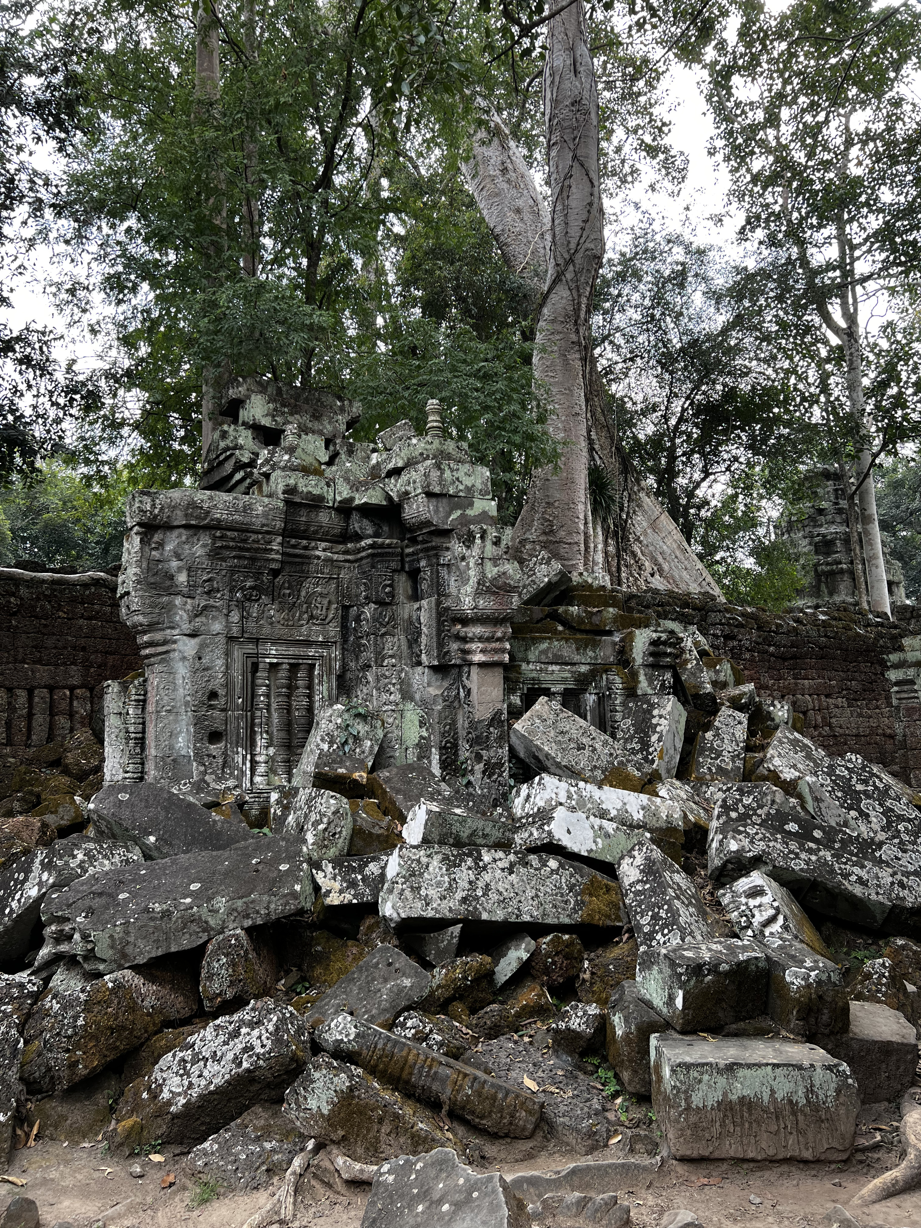 Picture Cambodia Siem Reap Ta Prohm 2023-01 81 - Center Ta Prohm