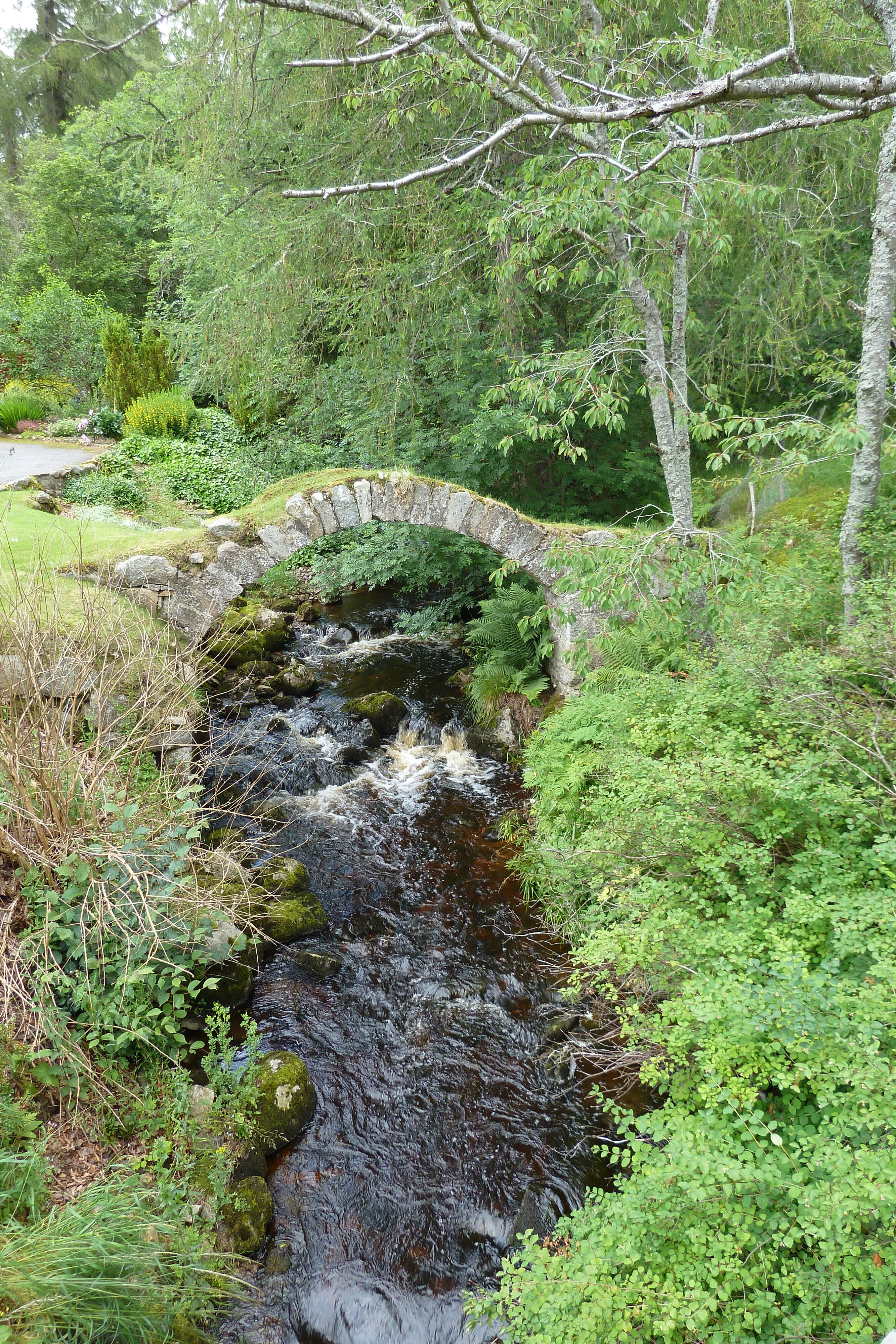 Picture United Kingdom Cairngorms National Park 2011-07 127 - Center Cairngorms National Park