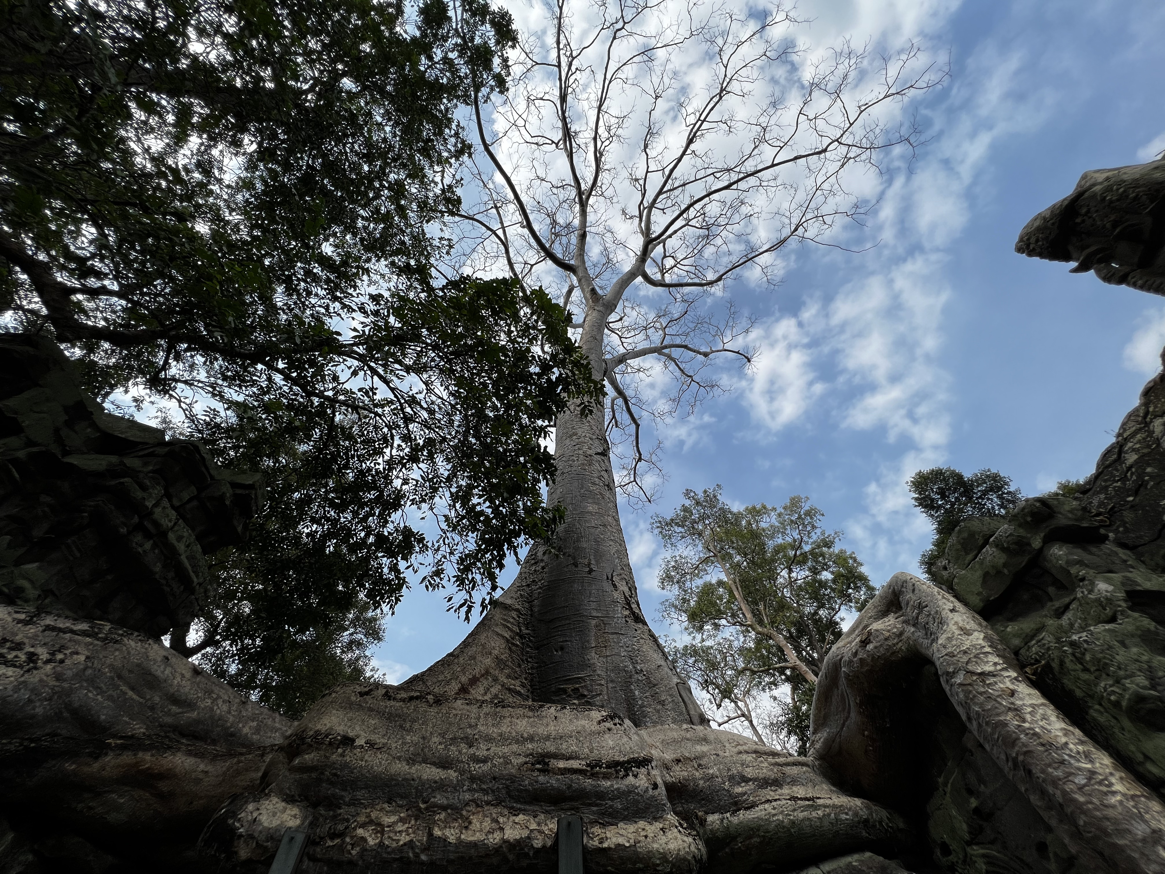 Picture Cambodia Siem Reap Ta Prohm 2023-01 92 - Around Ta Prohm