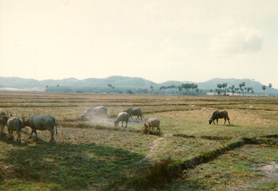 Picture Thailand Phuket 1989-04 29 - Recreation Phuket