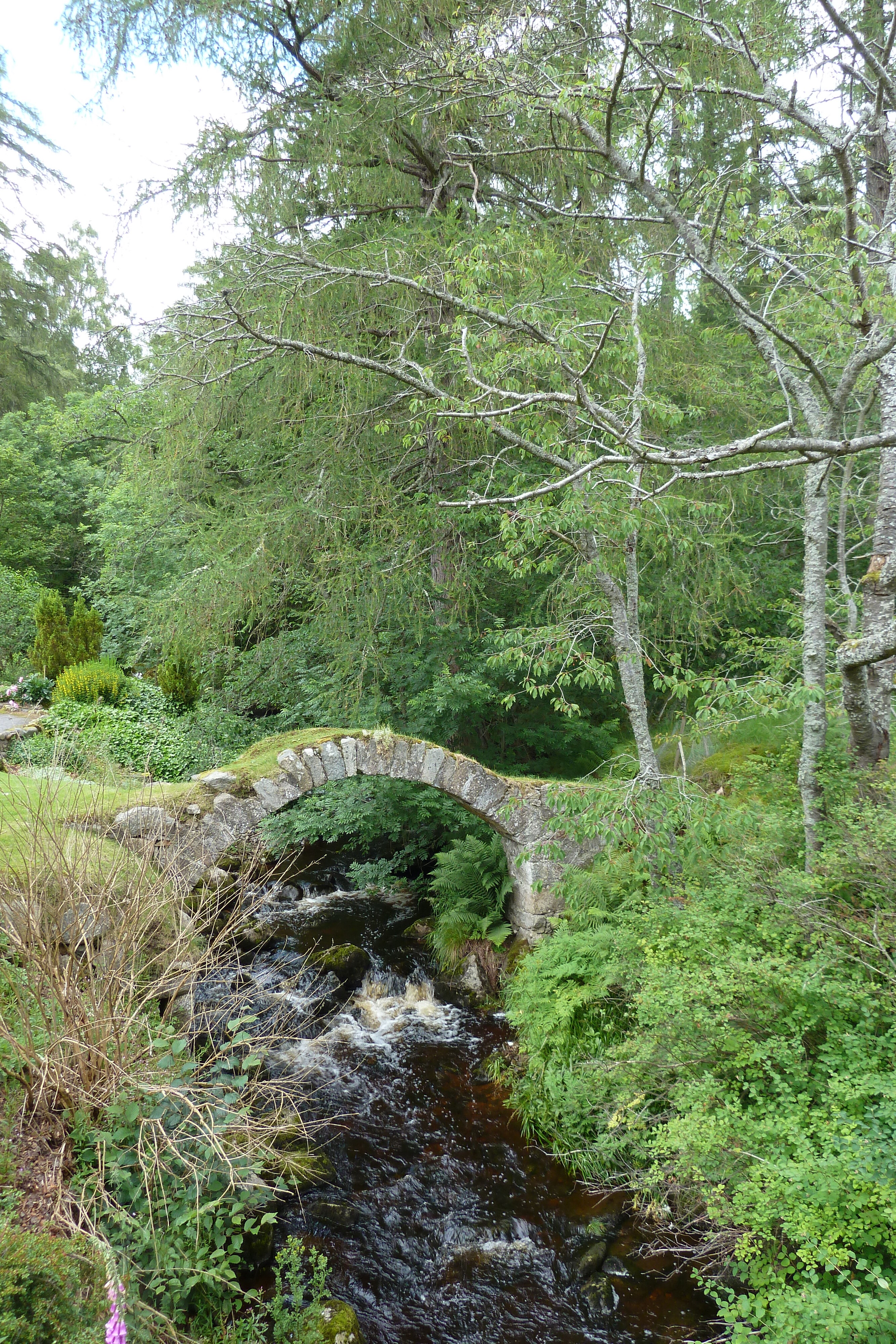 Picture United Kingdom Scotland 2011-07 192 - Tour Scotland