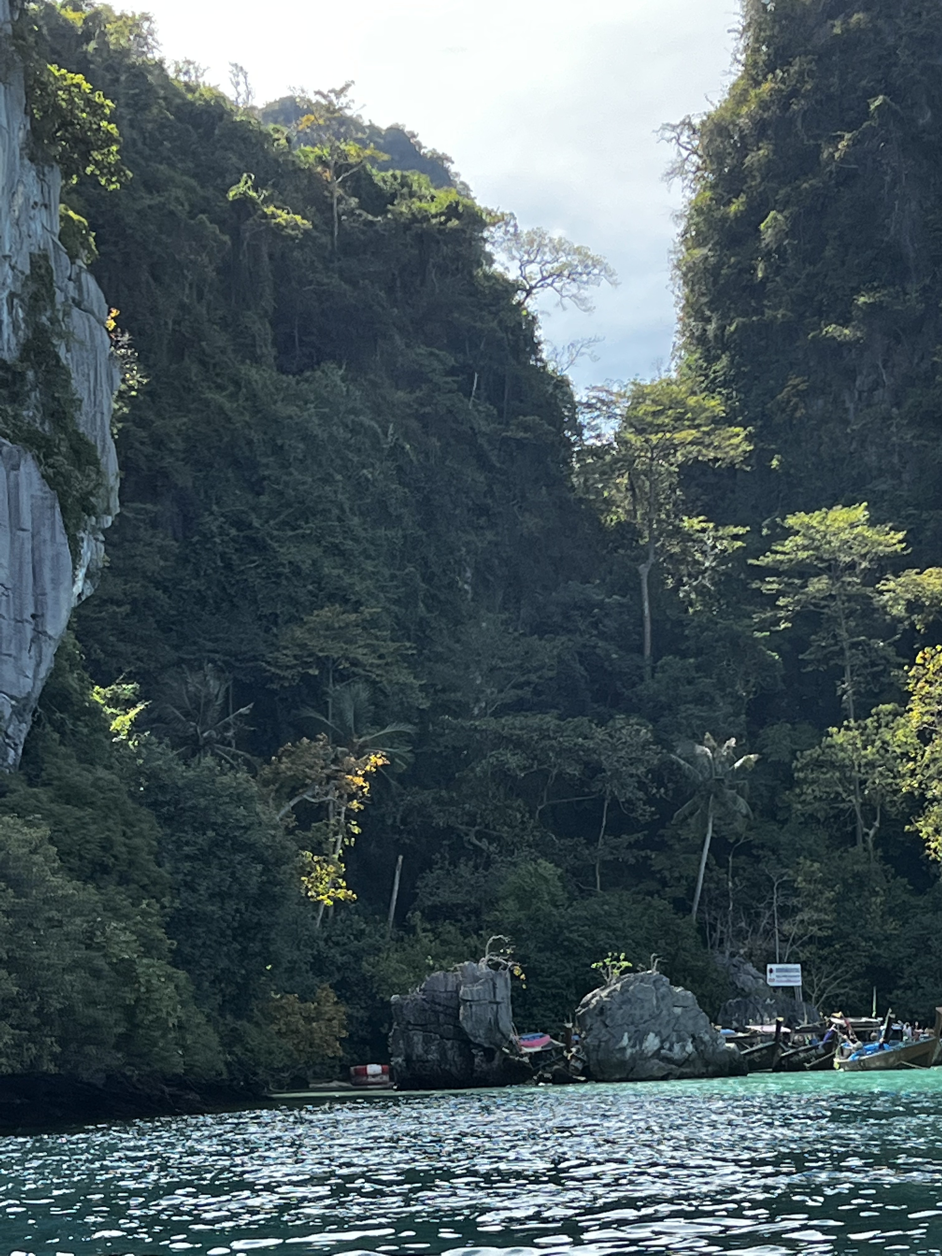 Picture Thailand Ko Phi Phi Ley 2021-12 57 - Discovery Ko Phi Phi Ley