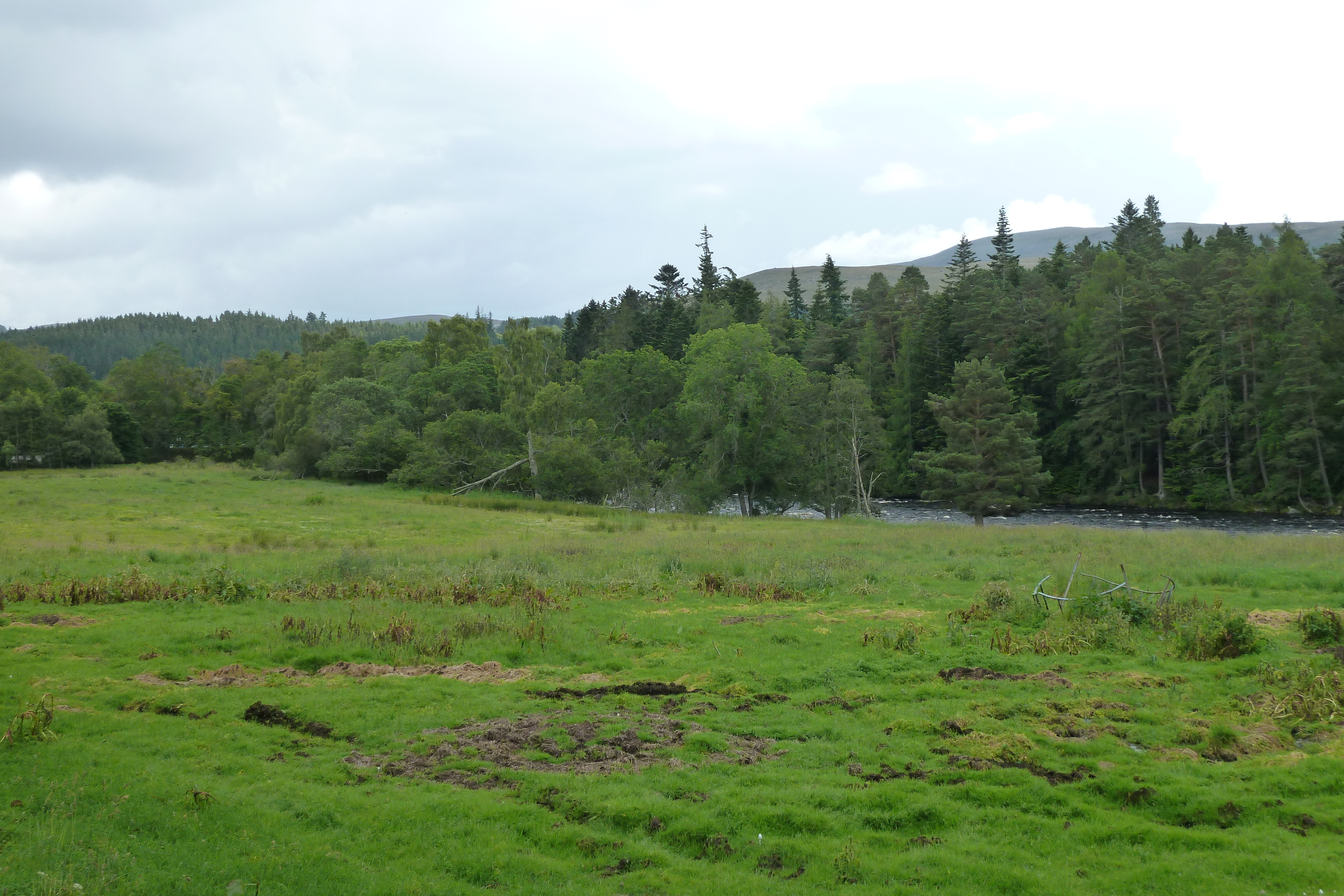 Picture United Kingdom Cairngorms National Park 2011-07 136 - Around Cairngorms National Park