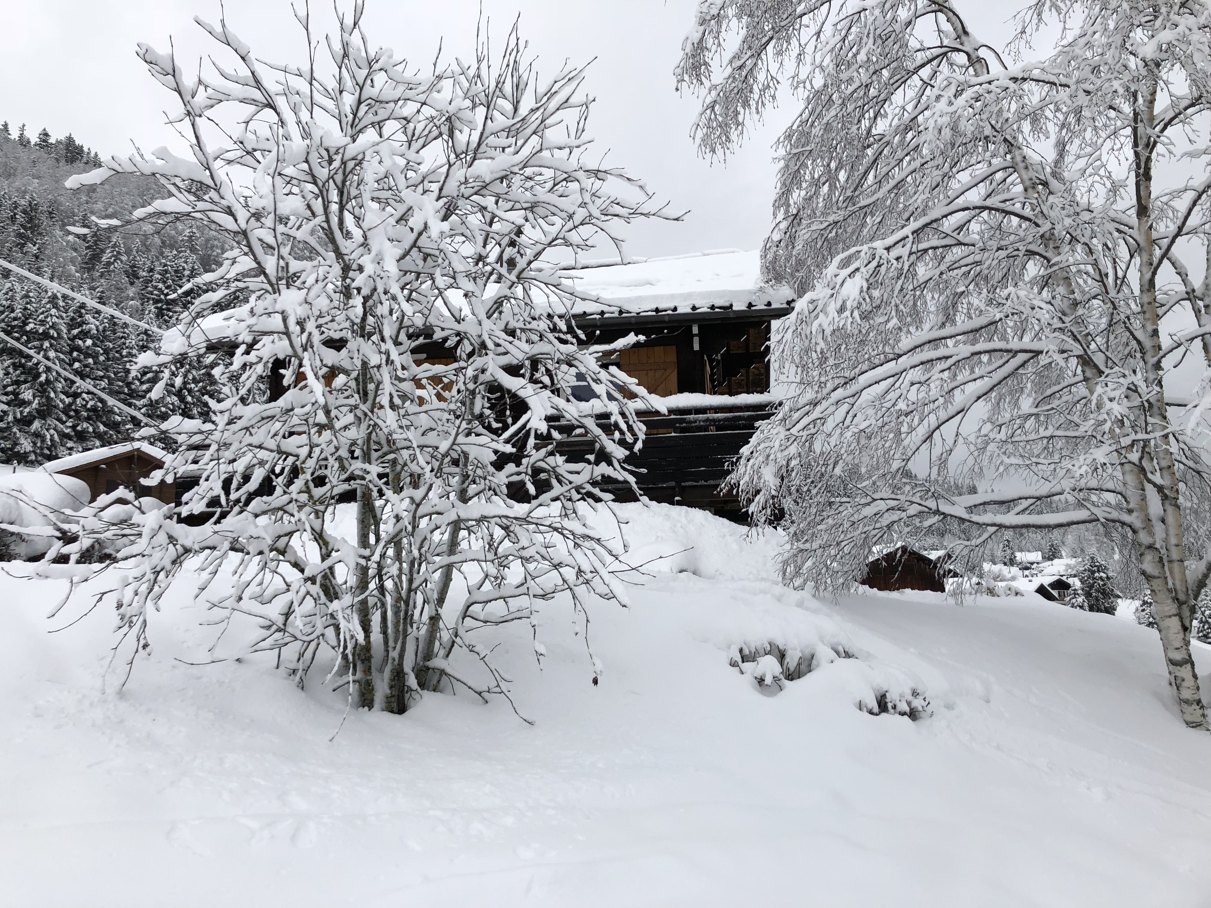 Picture France La Clusaz 2017-12 94 - Journey La Clusaz