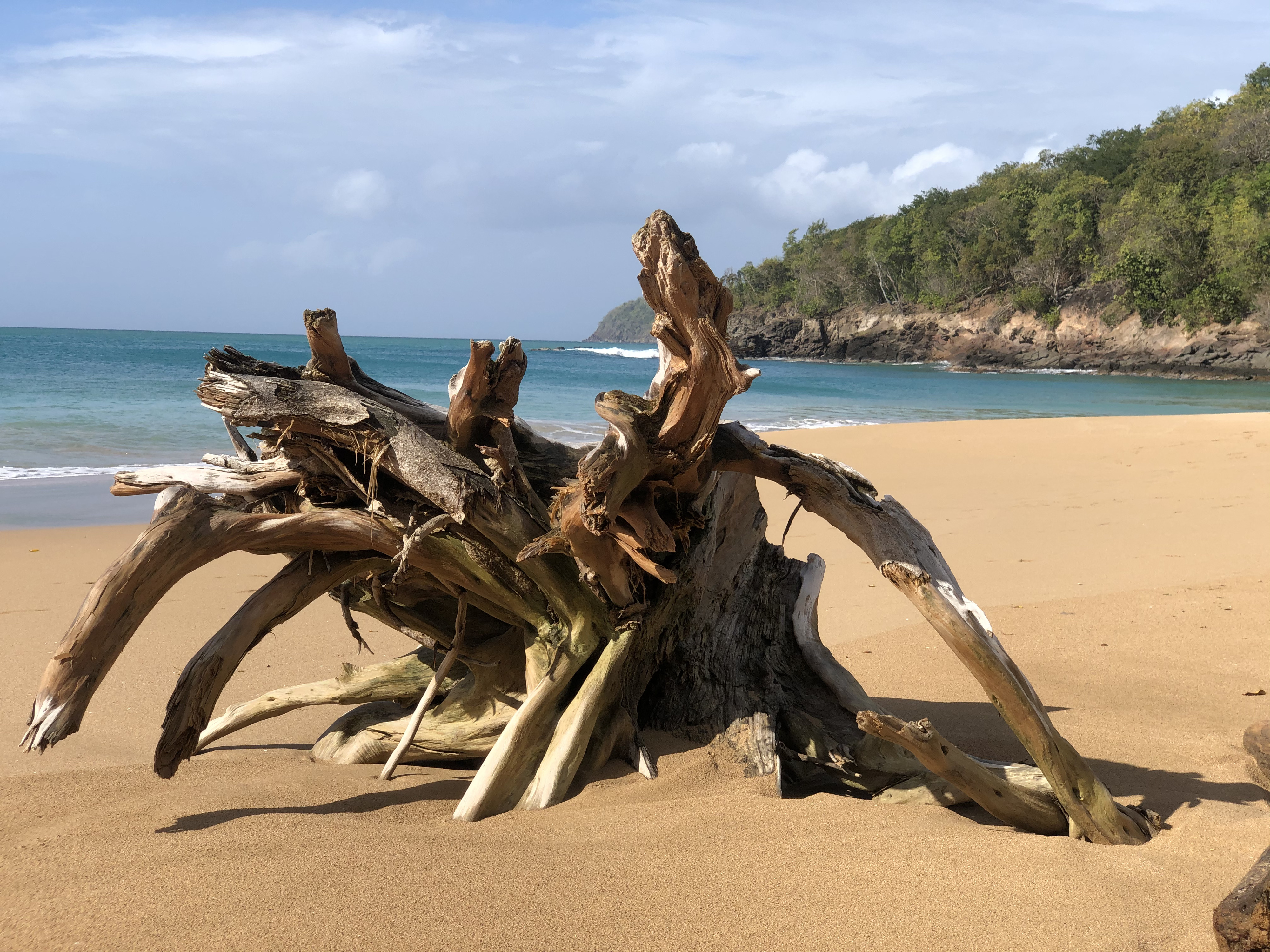 Picture Guadeloupe La Perle Beach 2021-02 109 - Tour La Perle Beach