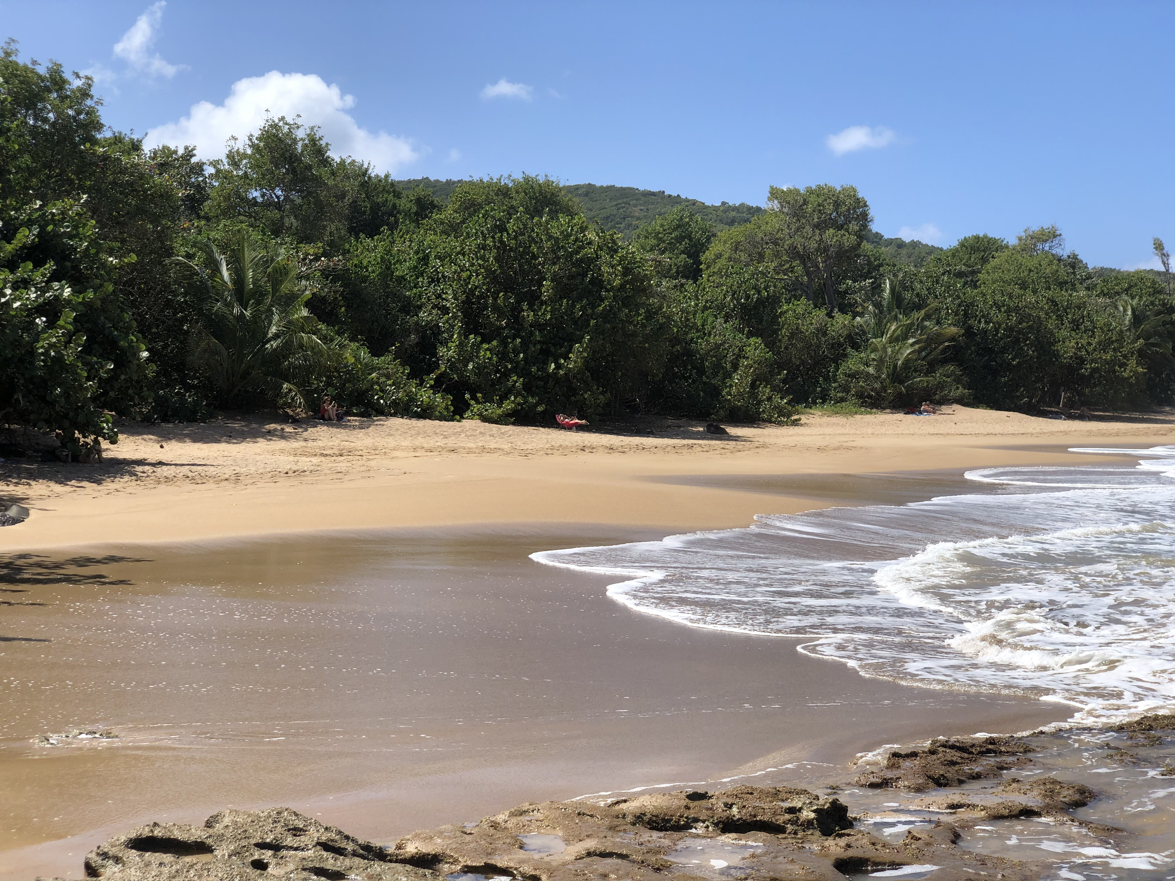 Picture Guadeloupe Clugny Beach 2021-02 5 - Center Clugny Beach