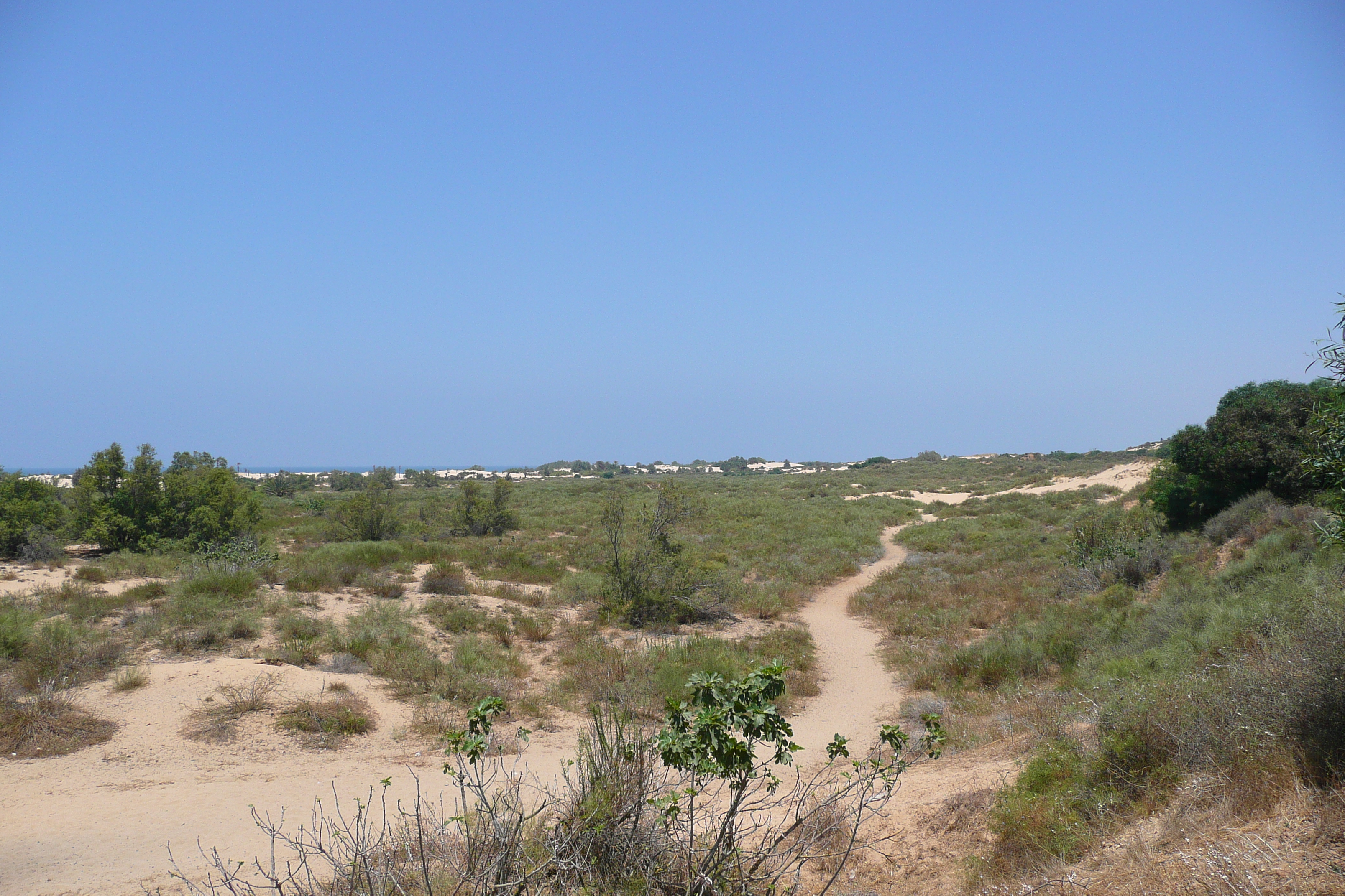 Picture Israel Nitzan 2007-06 15 - Tours Nitzan