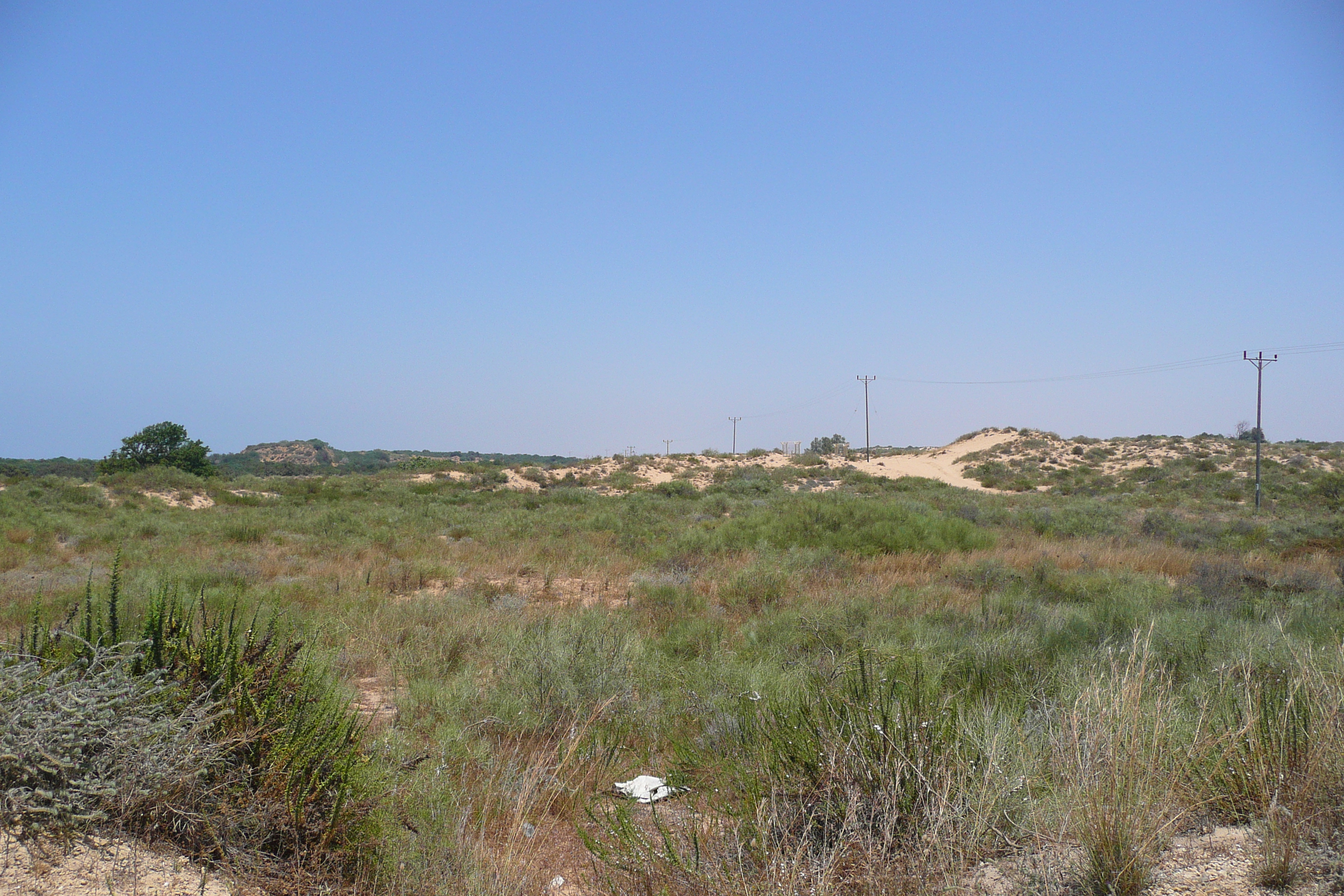 Picture Israel Nitzan 2007-06 81 - Tour Nitzan