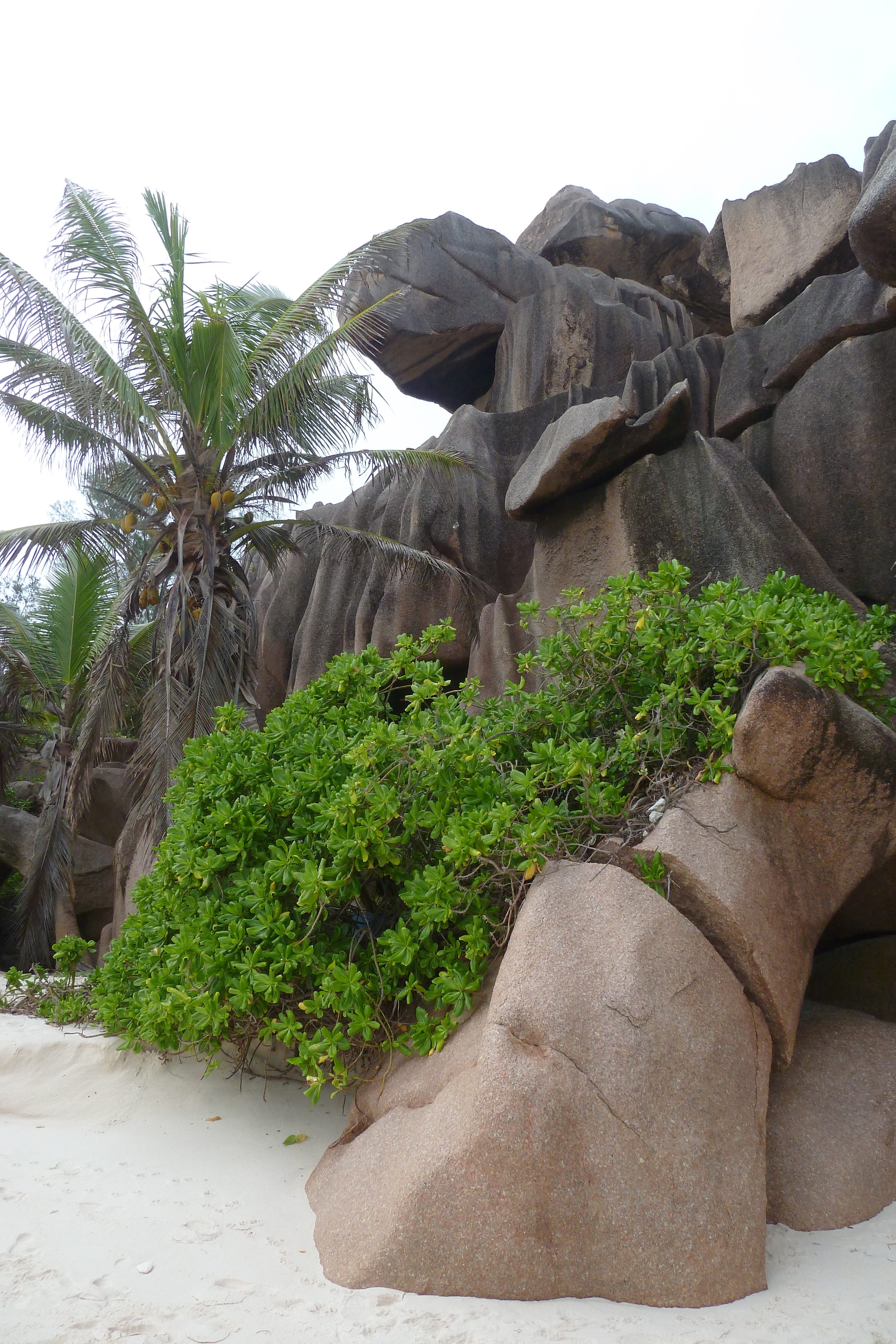 Picture Seychelles La Digue 2011-10 209 - Tour La Digue