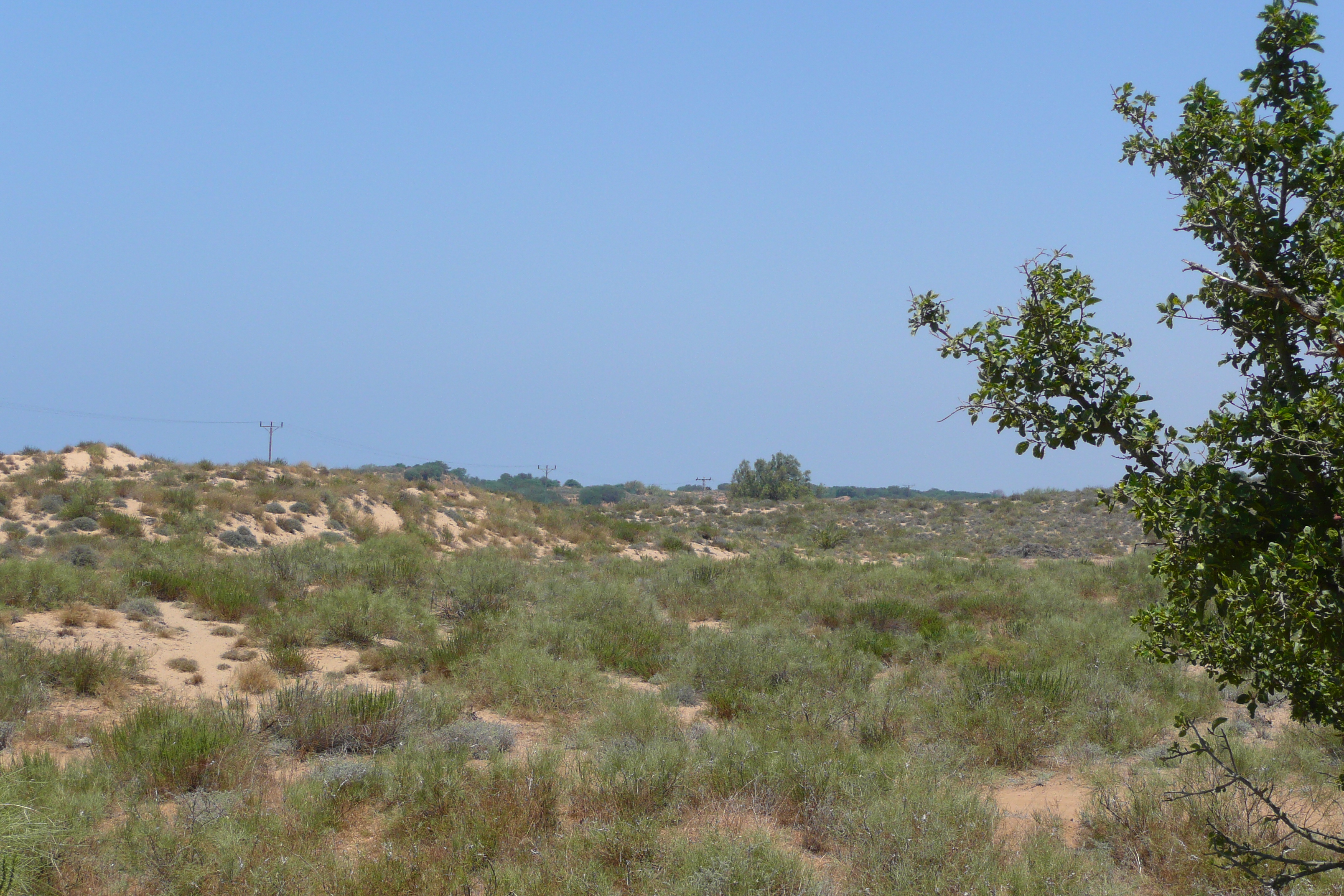 Picture Israel Nitzan 2007-06 73 - Journey Nitzan