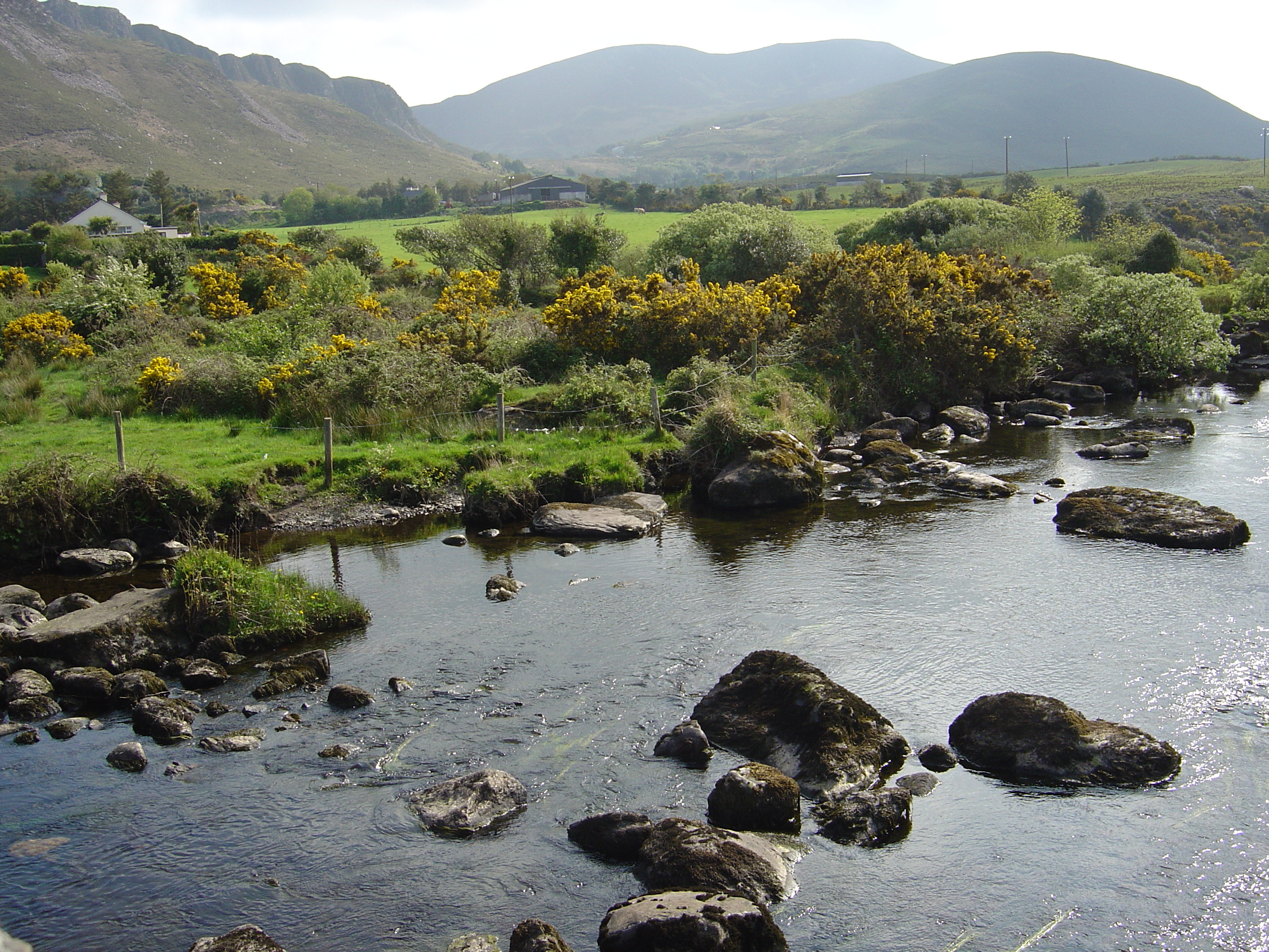 Picture Ireland Kerry Caragh Lake 2004-05 31 - History Caragh Lake