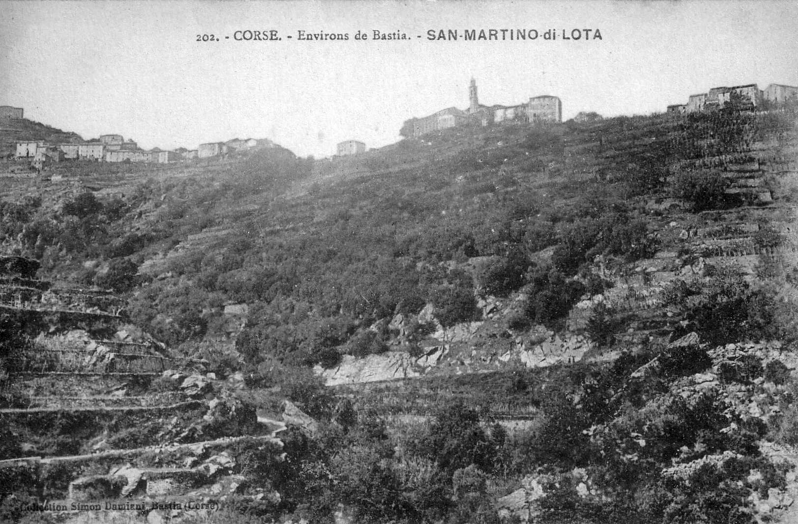 Picture France Corsica Old Postcards 1900-01 276 - Around Old Postcards