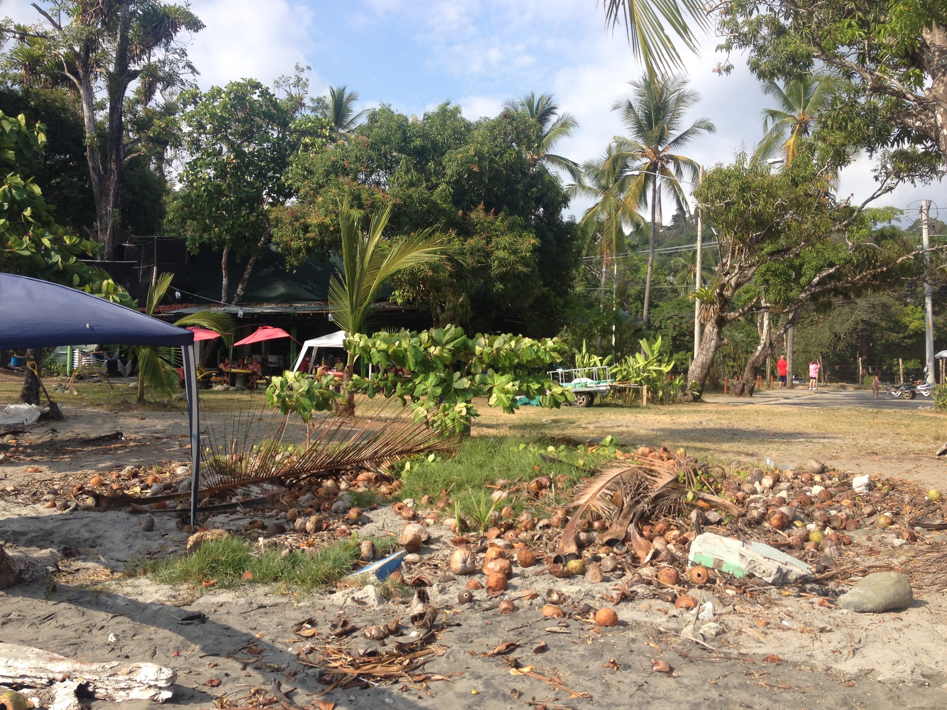 Picture Costa Rica Manuel Antonio 2015-03 186 - Tour Manuel Antonio