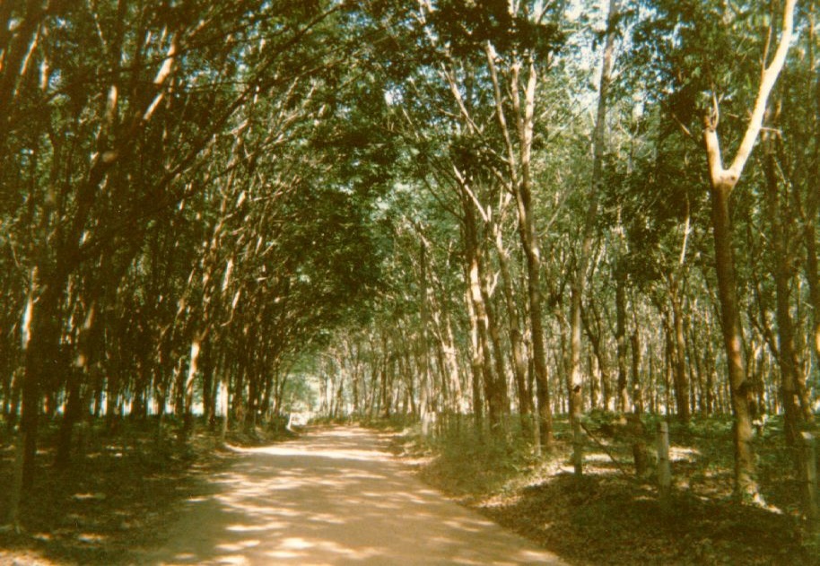 Picture Thailand Phuket 1989-04 44 - Journey Phuket