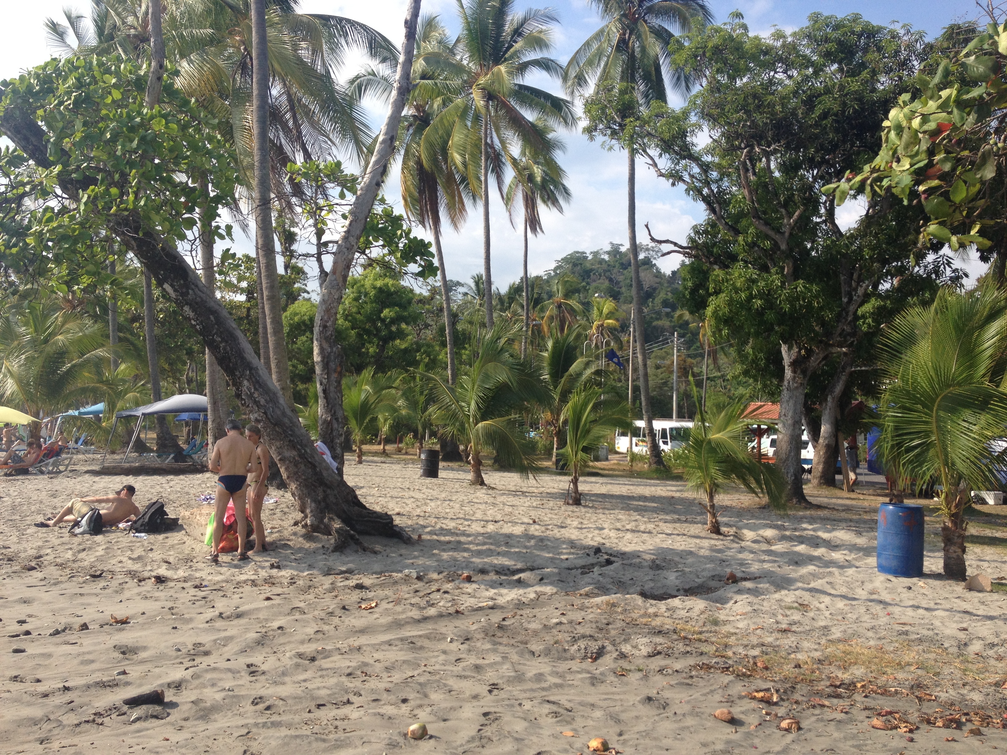 Picture Costa Rica Manuel Antonio 2015-03 365 - Discovery Manuel Antonio