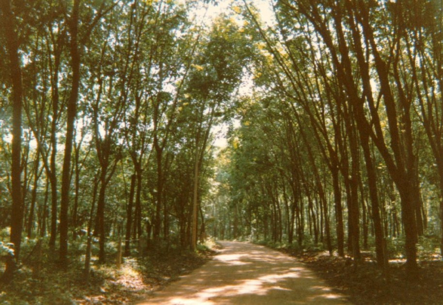 Picture Thailand Phuket 1989-04 45 - History Phuket