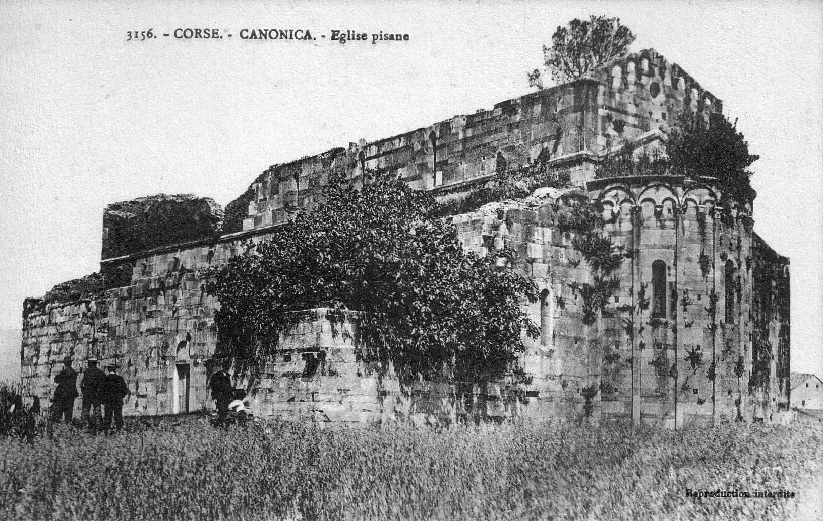 Picture France Corsica Old Postcards 1900-01 342 - Discovery Old Postcards