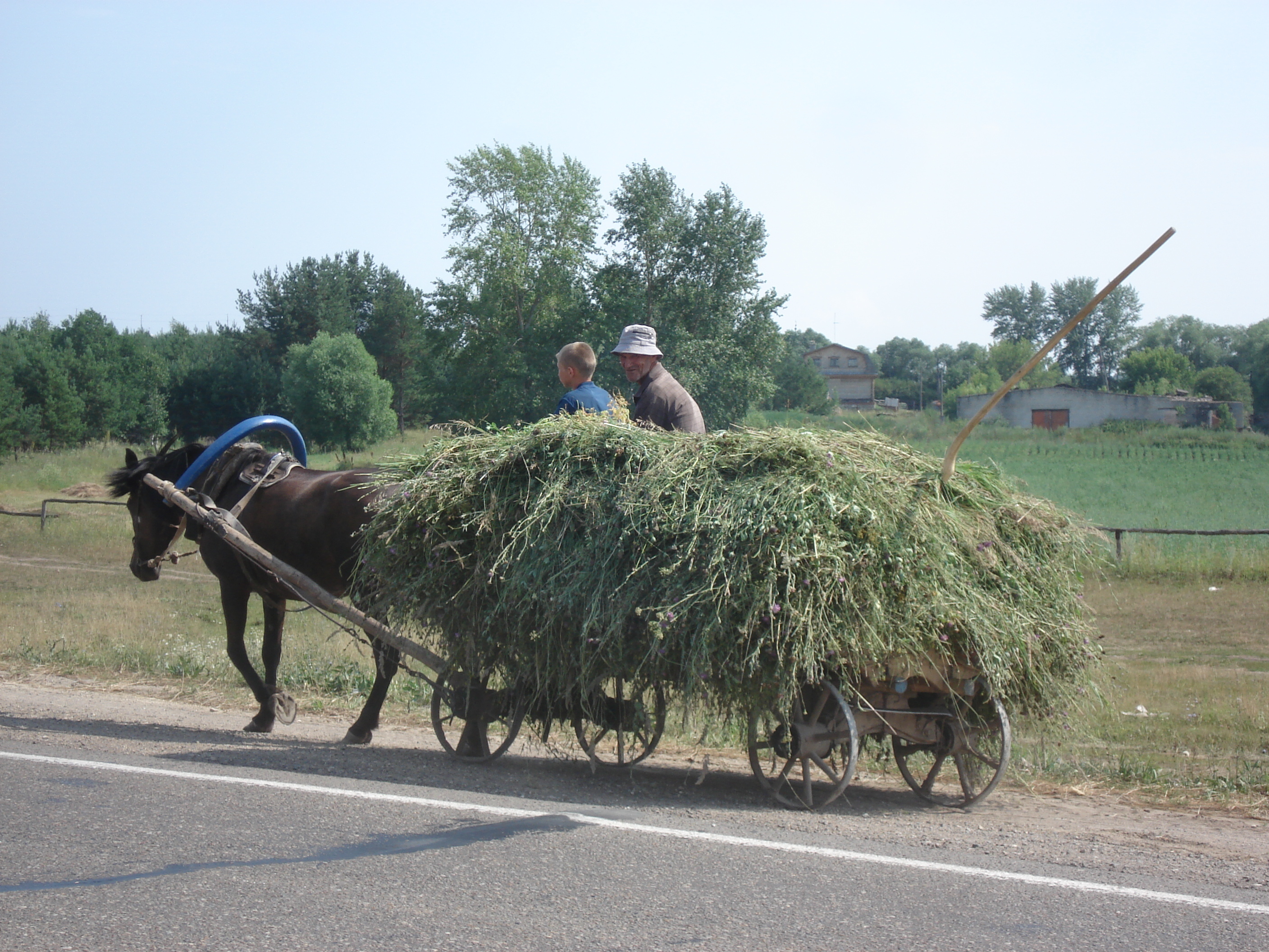 Picture Russia From Ufa to Kazan 2006-07 90 - History From Ufa to Kazan