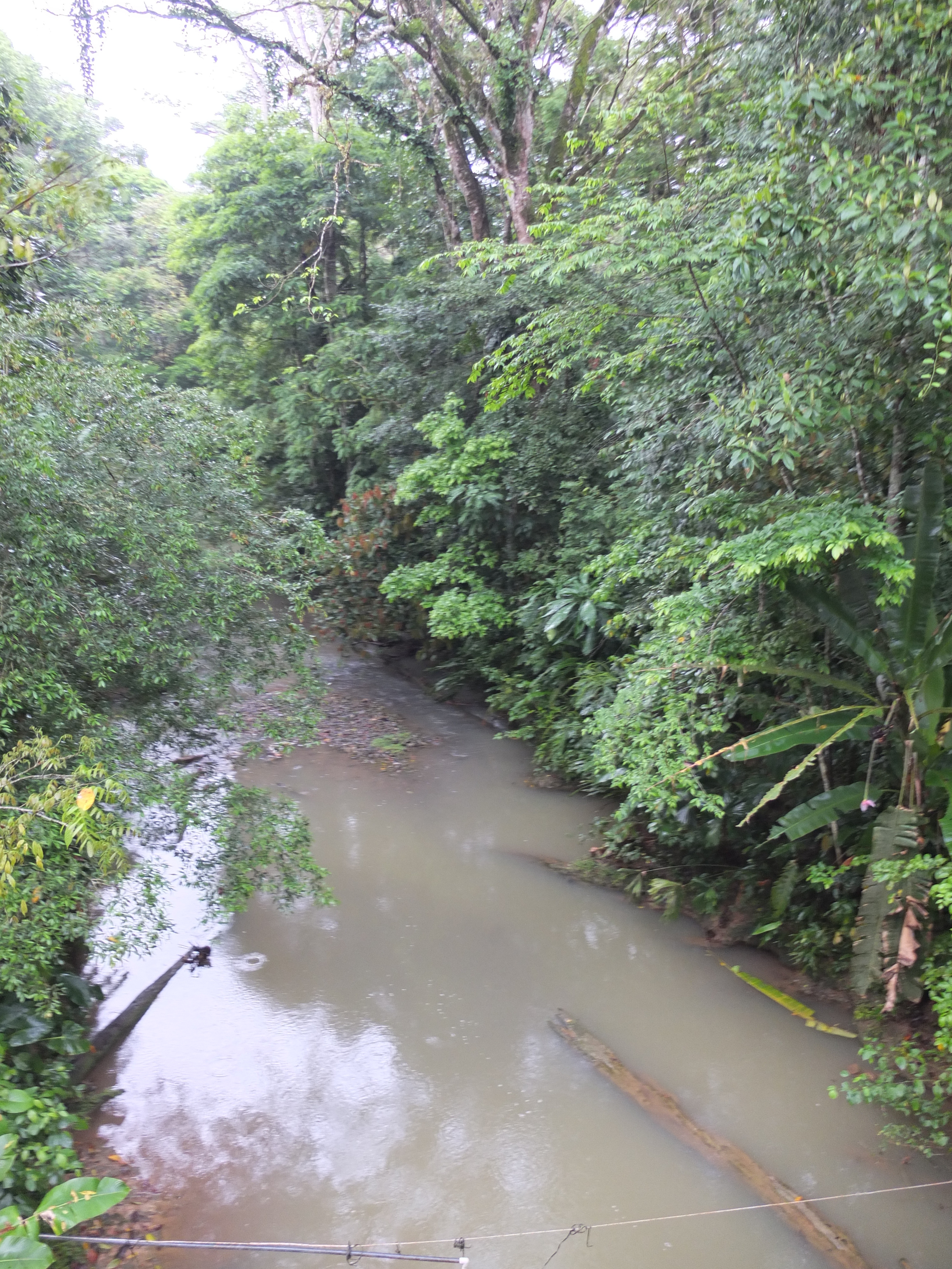 Picture Costa Rica Puerto Viejo de Talamanca 2015-03 120 - Recreation Puerto Viejo de Talamanca