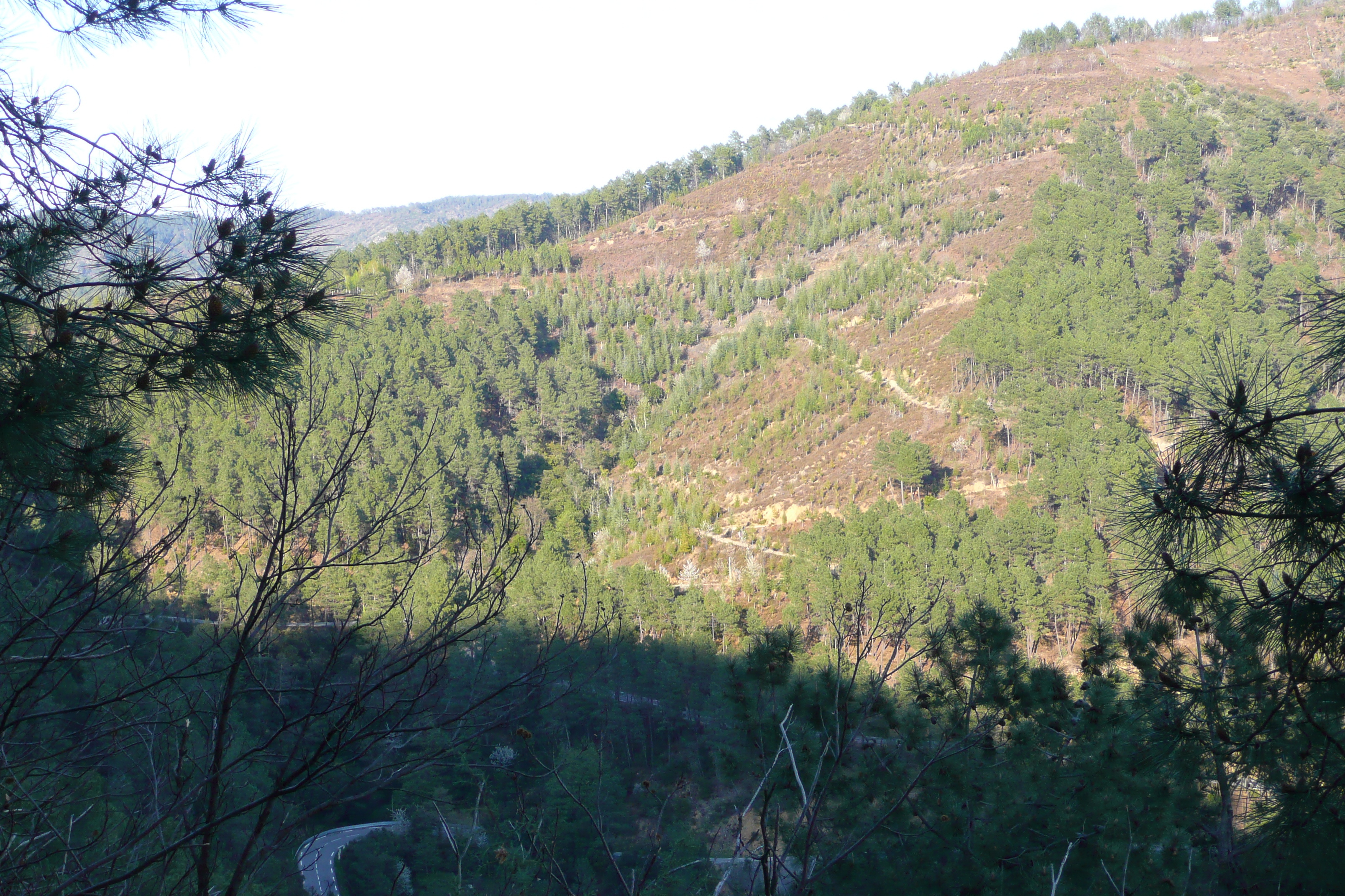 Picture France Cevennes Mountains 2008-04 44 - History Cevennes Mountains