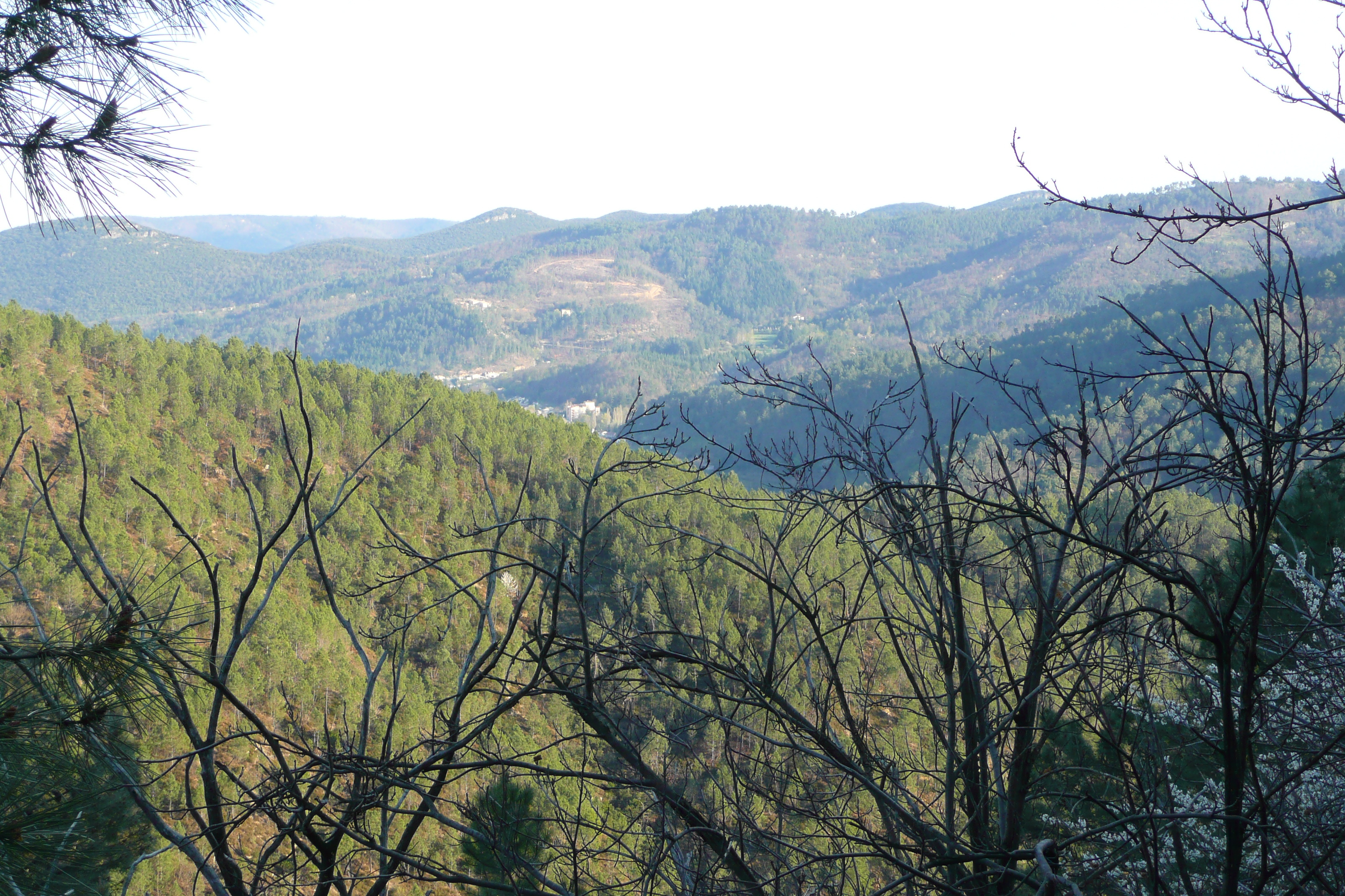 Picture France Cevennes Mountains 2008-04 40 - Around Cevennes Mountains