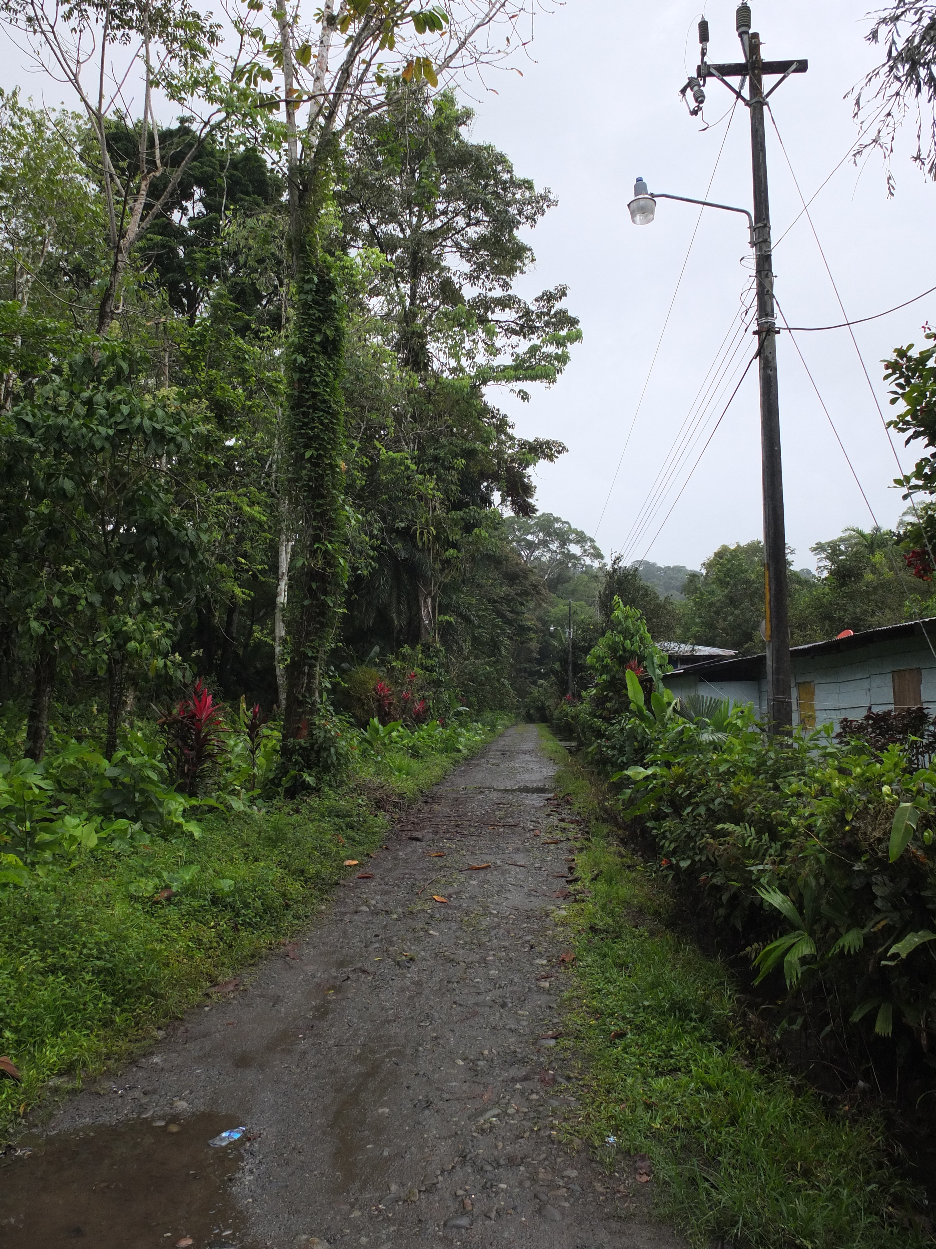 Picture Costa Rica Puerto Viejo de Talamanca 2015-03 20 - Discovery Puerto Viejo de Talamanca