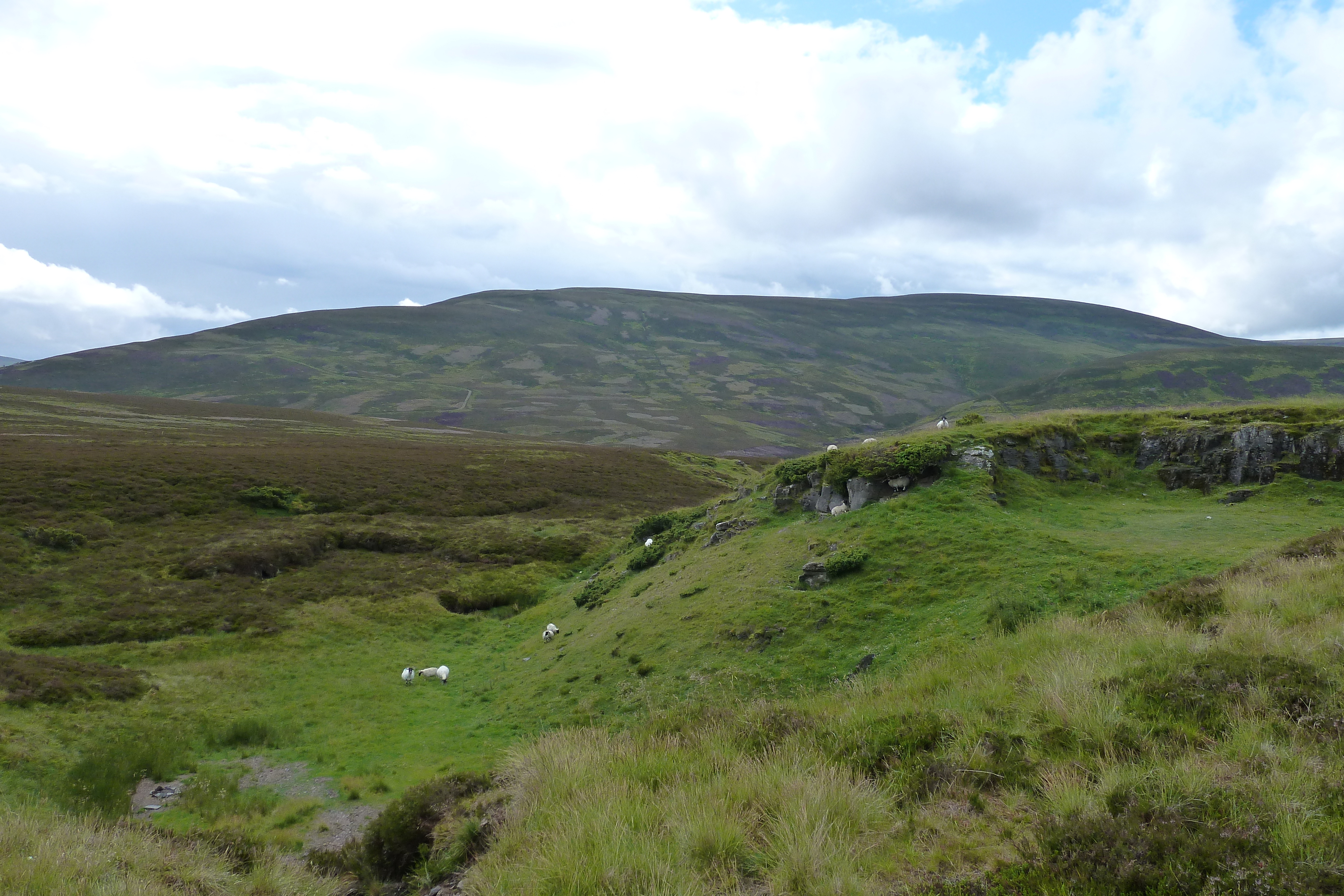 Picture United Kingdom Cairngorms National Park 2011-07 141 - Tour Cairngorms National Park